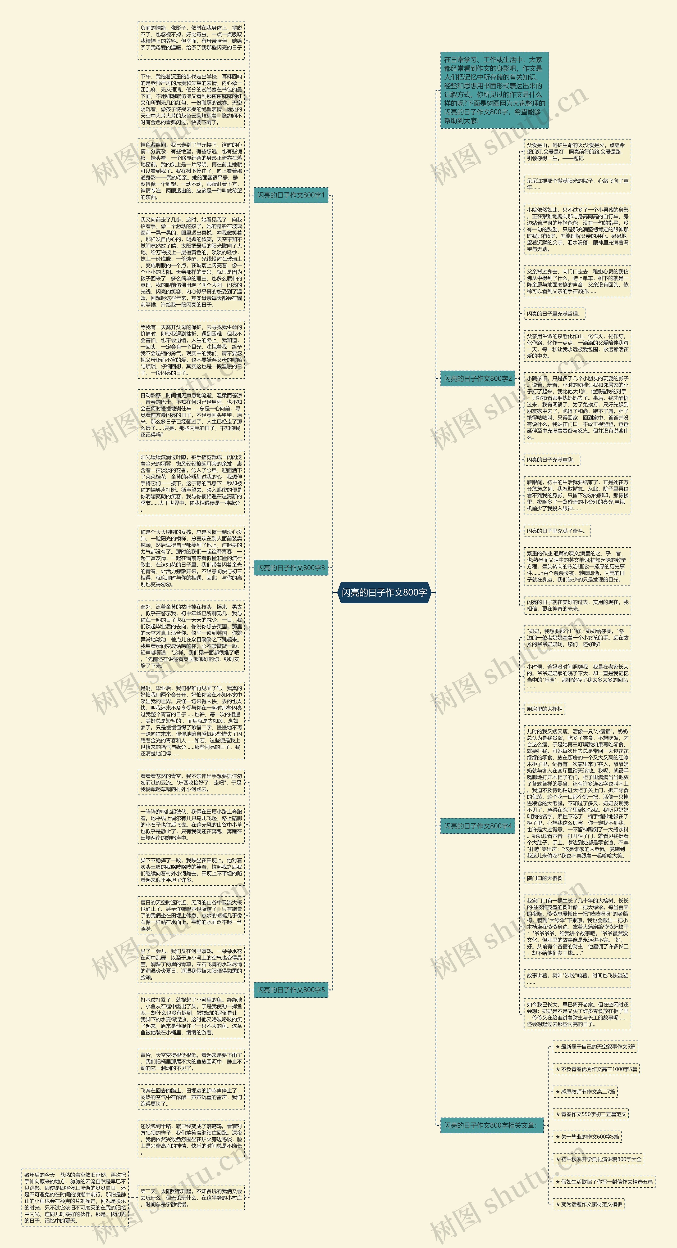 闪亮的日子作文800字思维导图