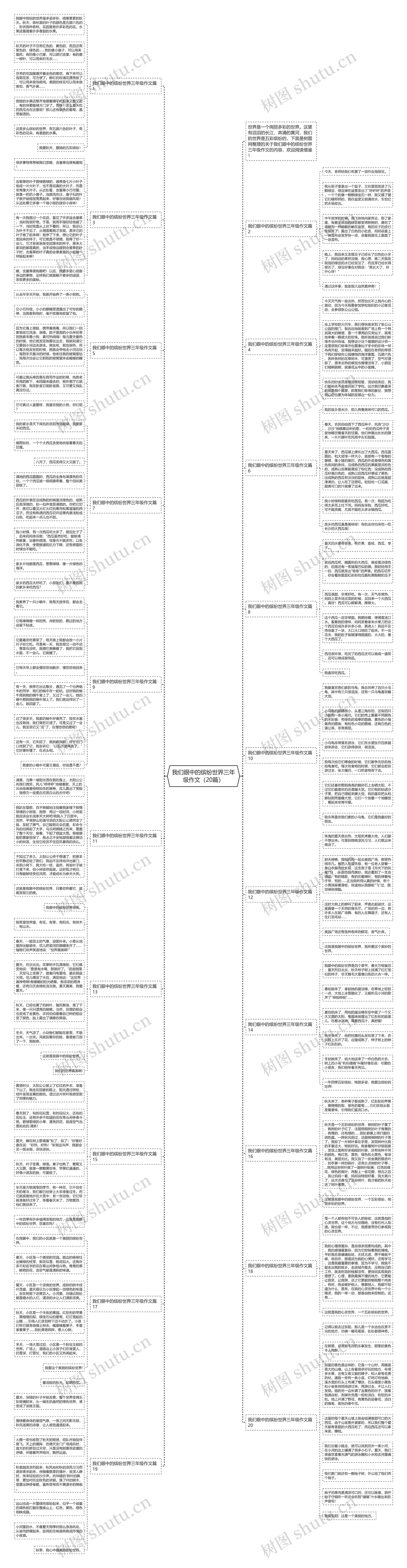 我们眼中的缤纷世界三年级作文（20篇）思维导图