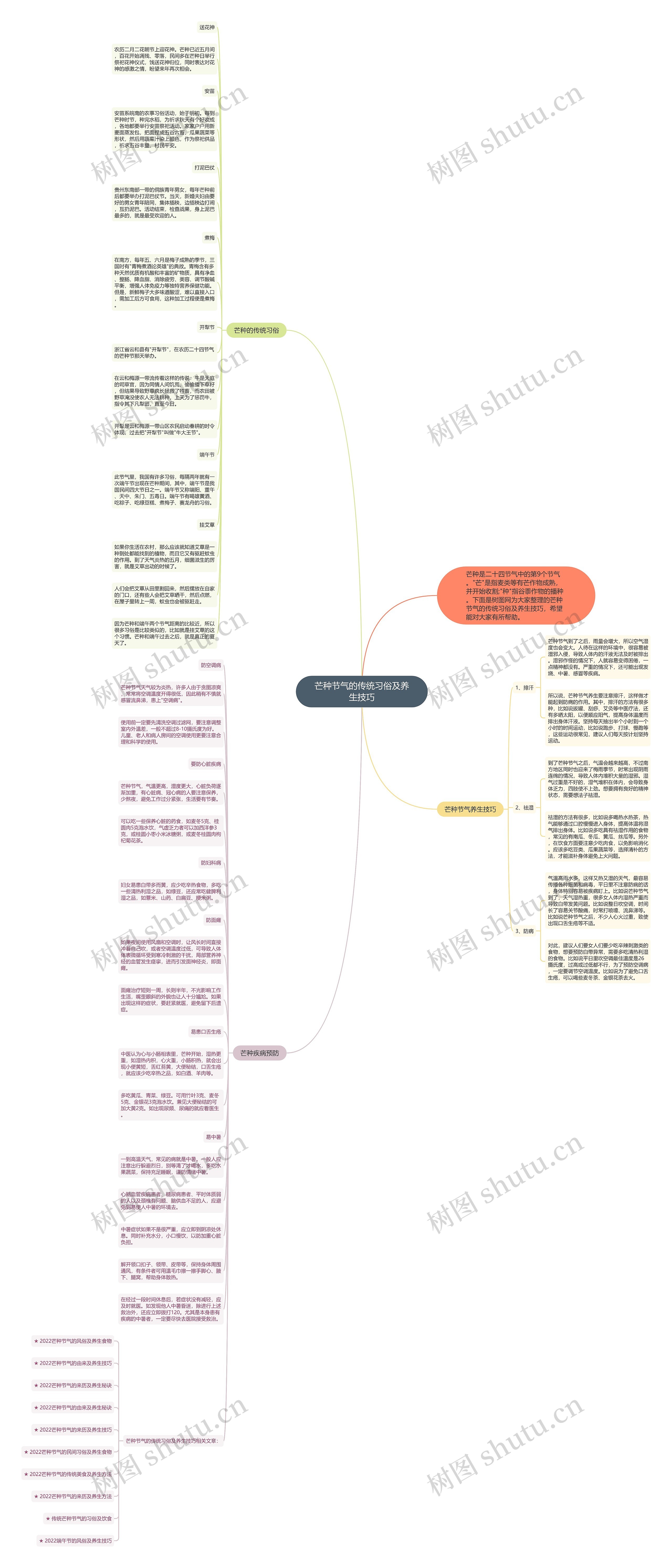 芒种节气的传统习俗及养生技巧思维导图