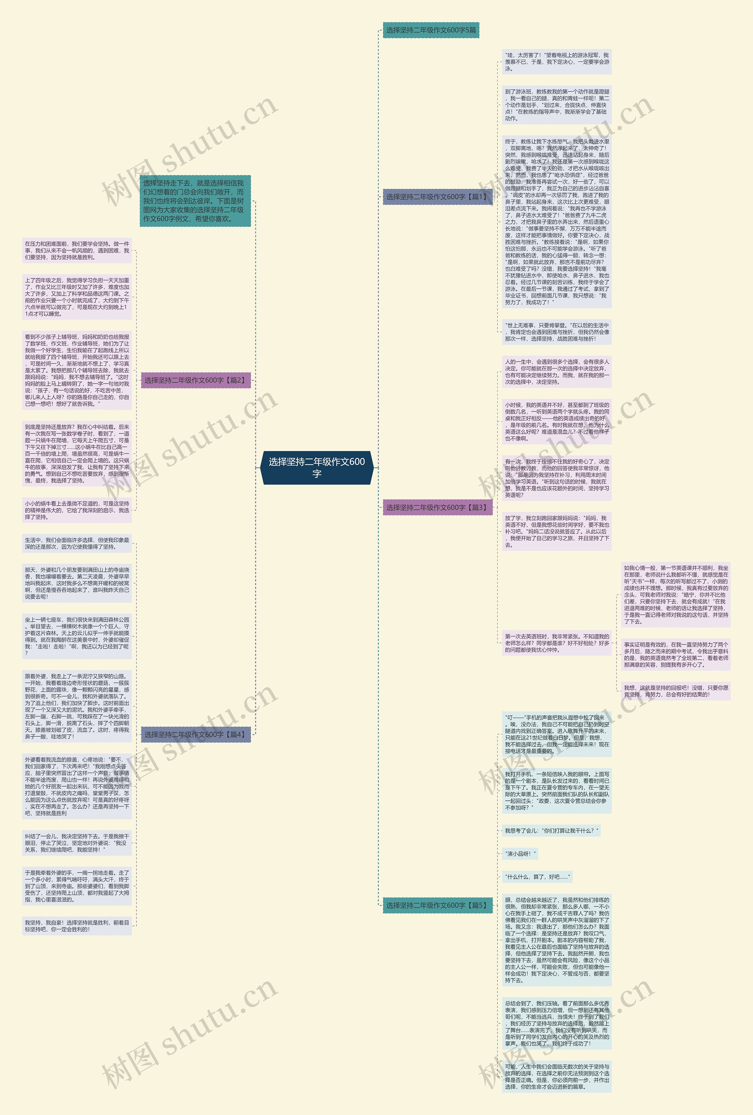 选择坚持二年级作文600字思维导图