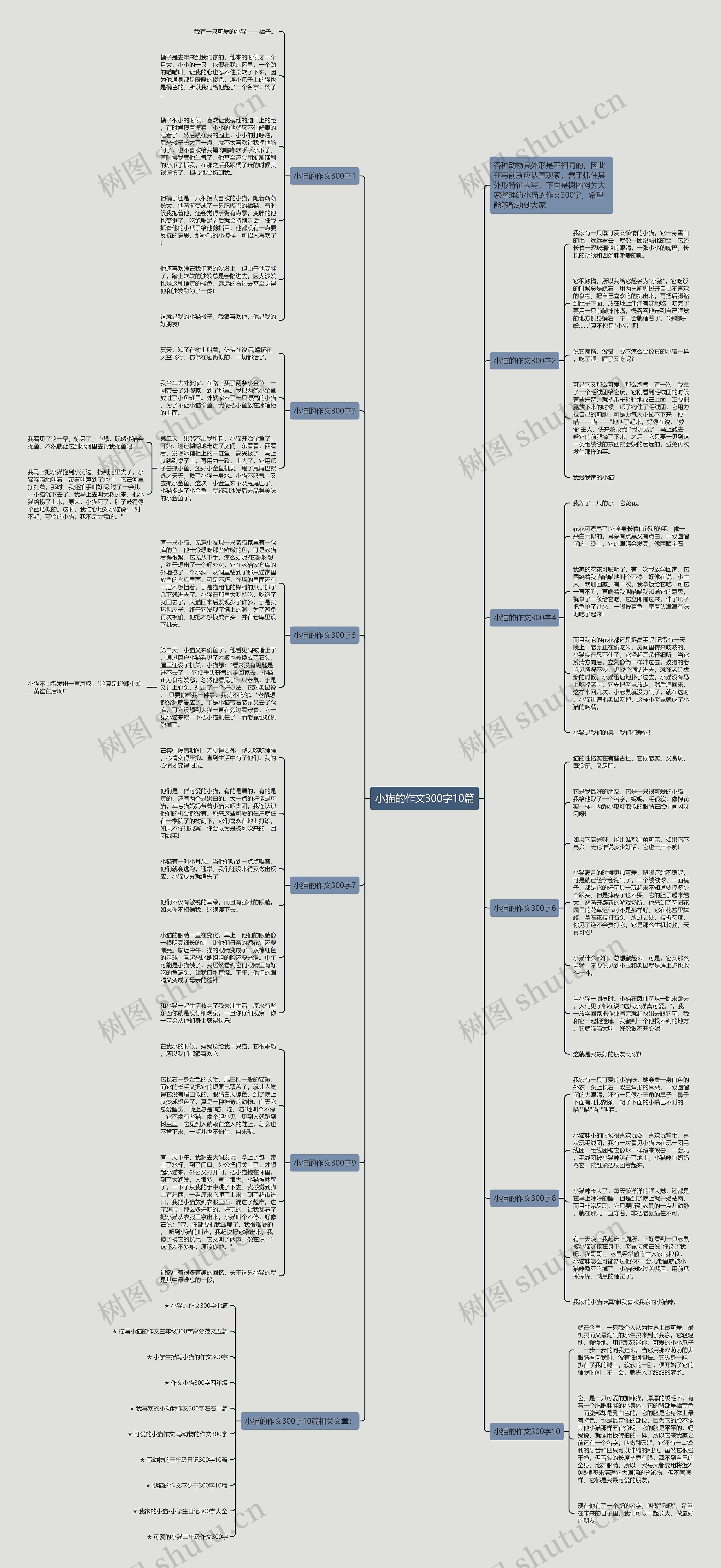 小猫的作文300字10篇思维导图