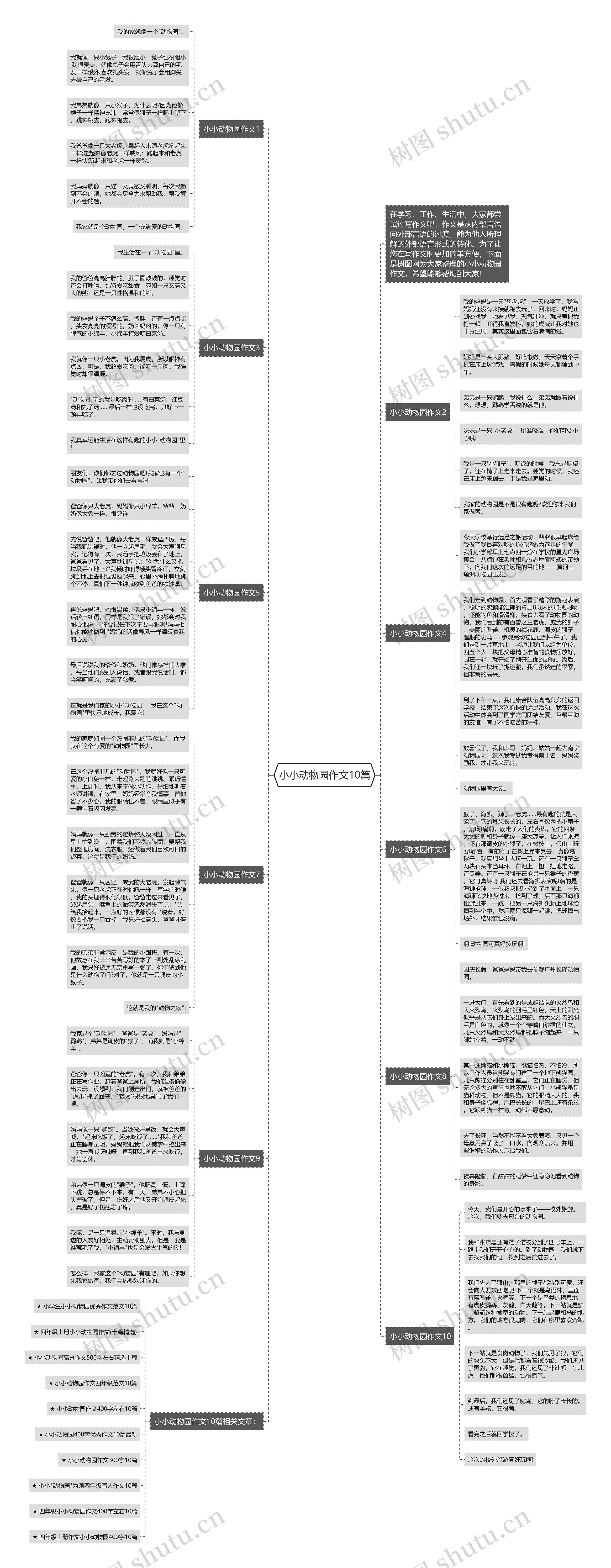 小小动物园作文10篇思维导图