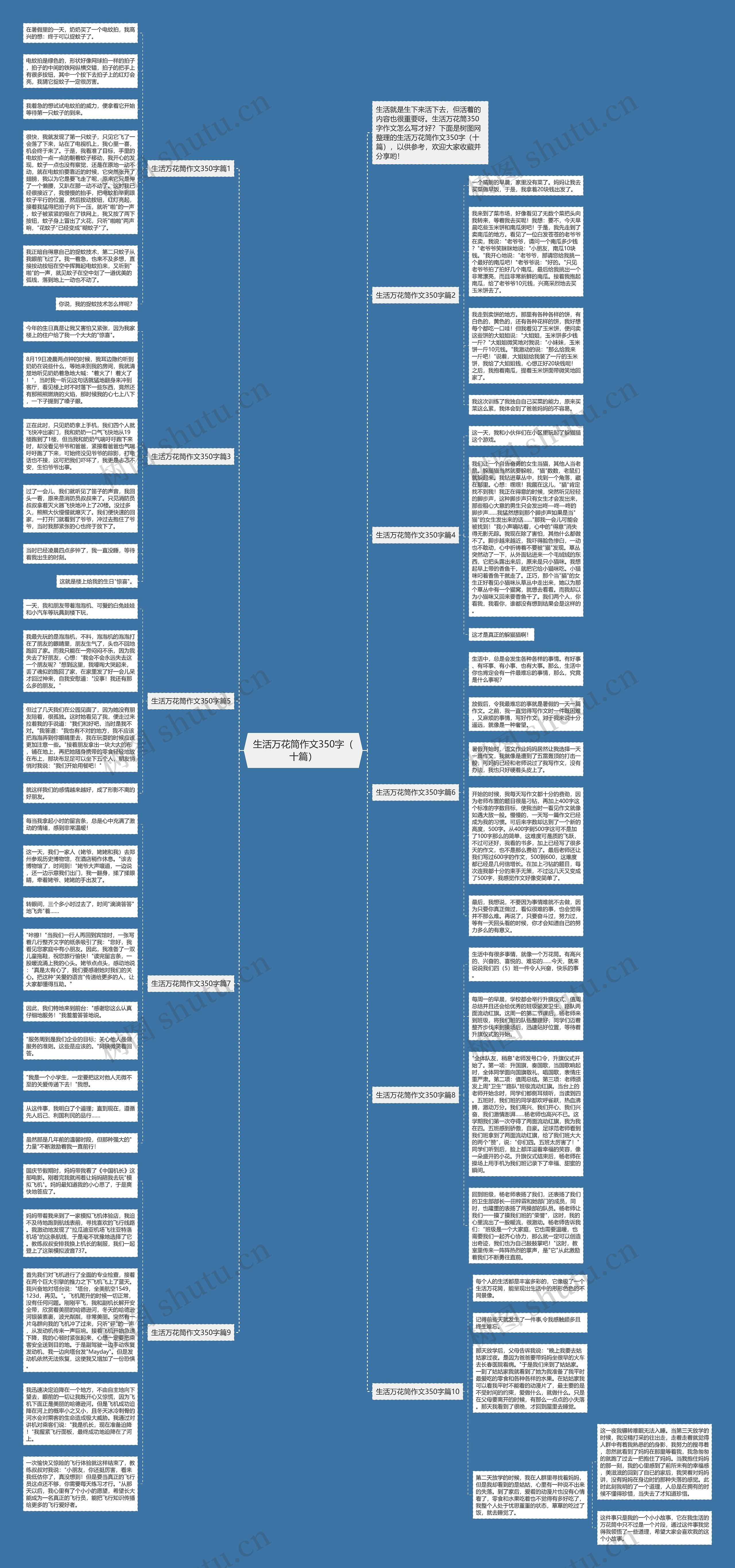 生活万花筒作文350字（十篇）