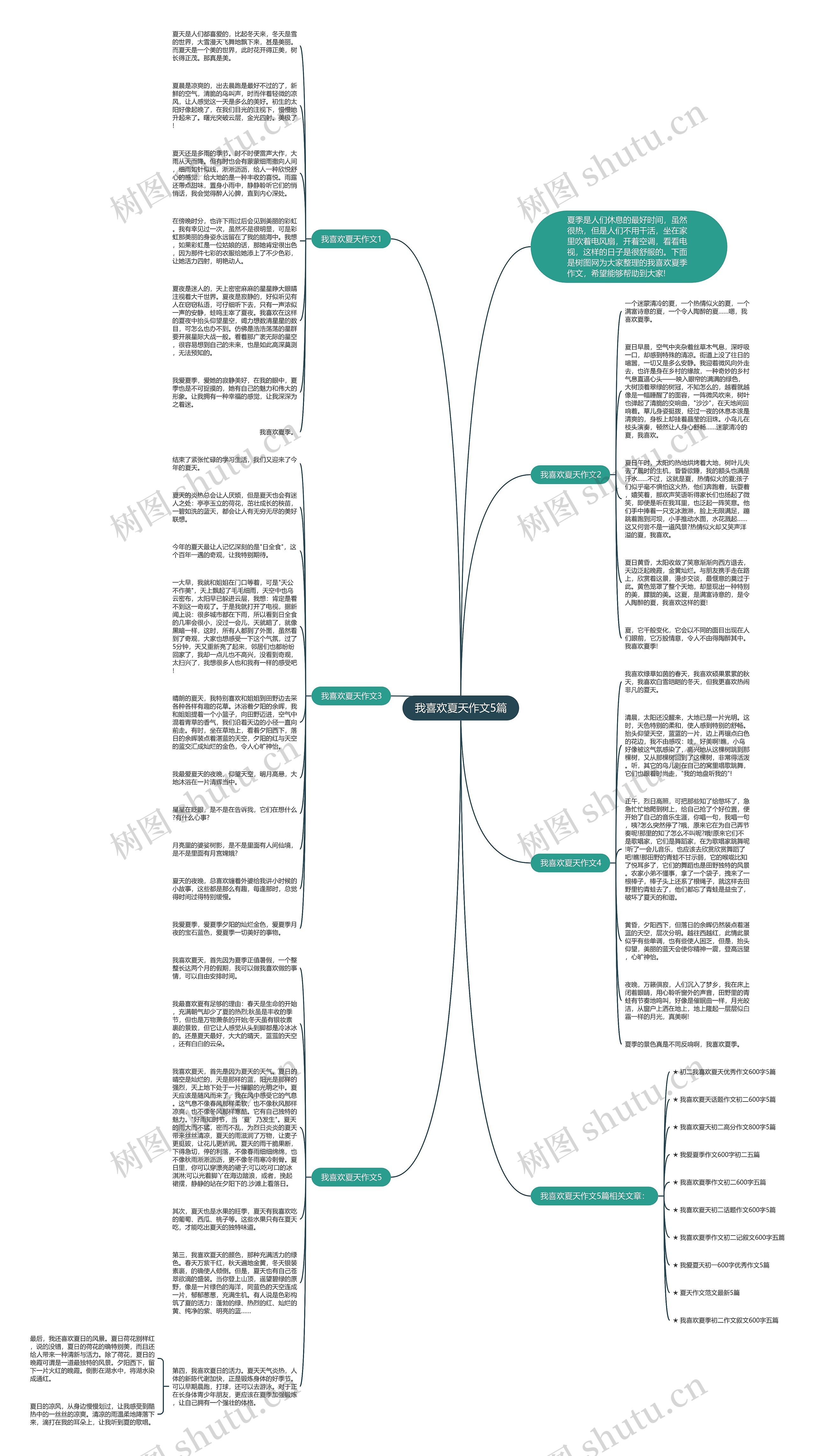 我喜欢夏天作文5篇思维导图