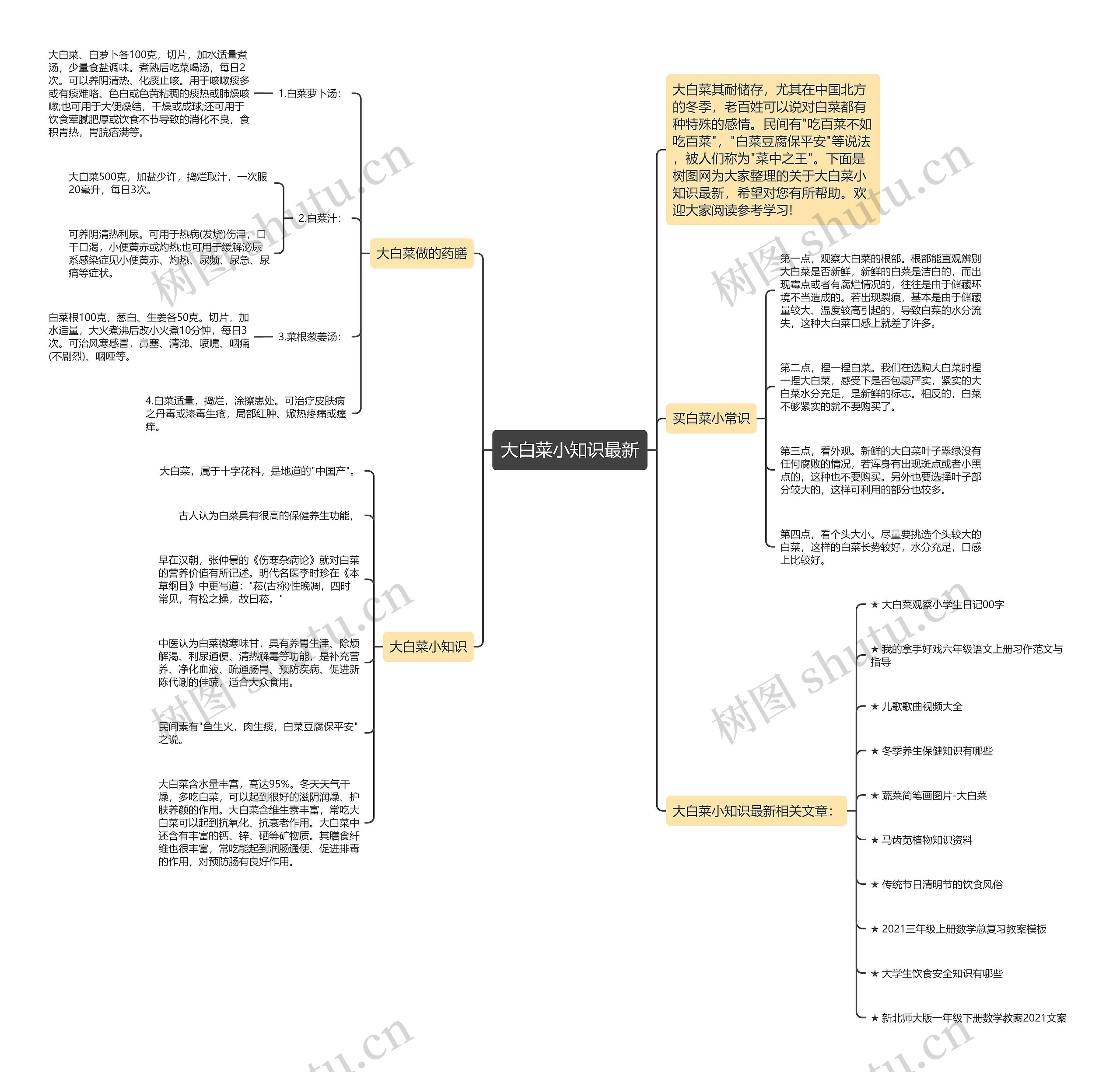 大白菜小知识最新思维导图