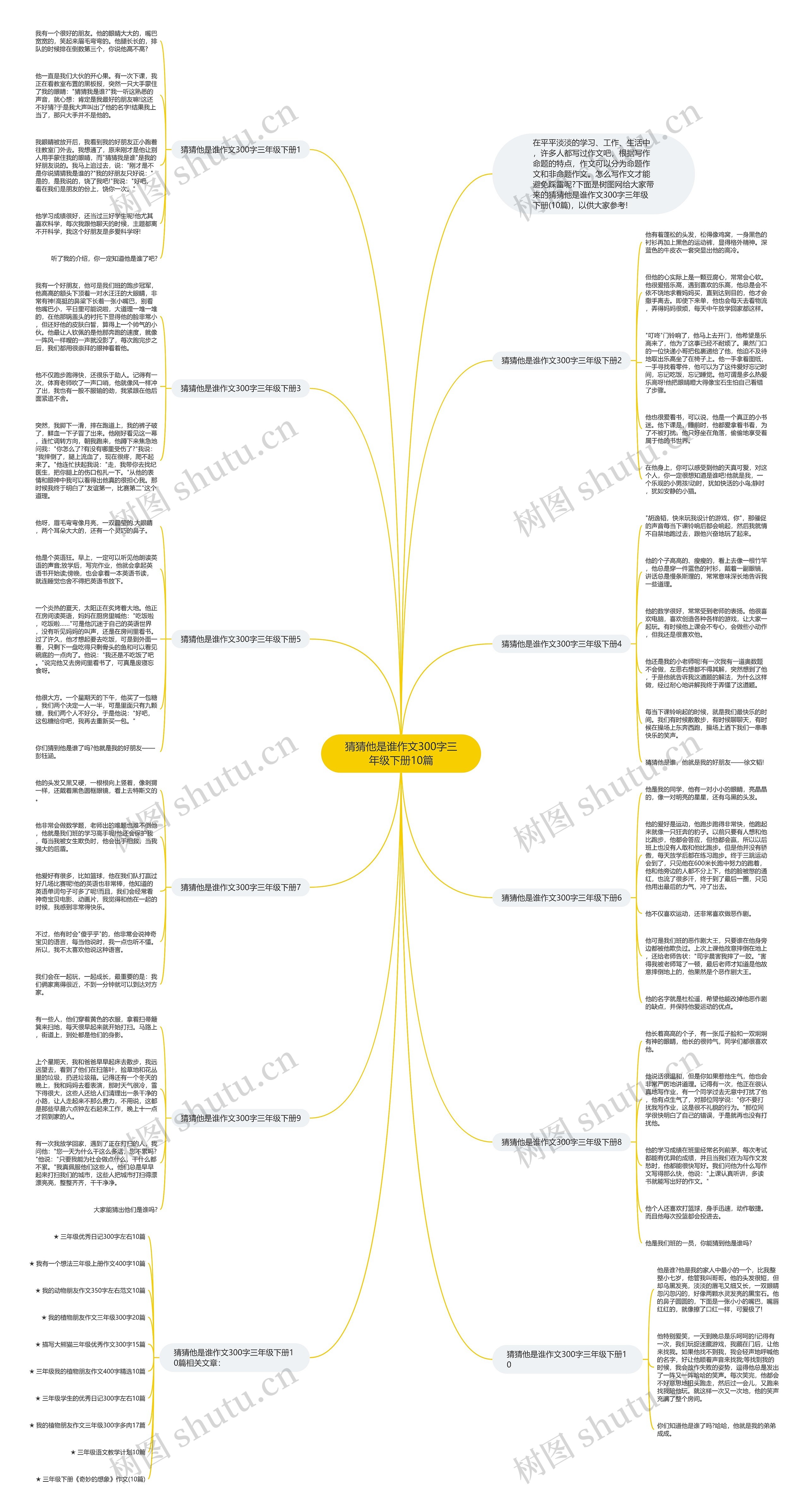 猜猜他是谁作文300字三年级下册10篇思维导图