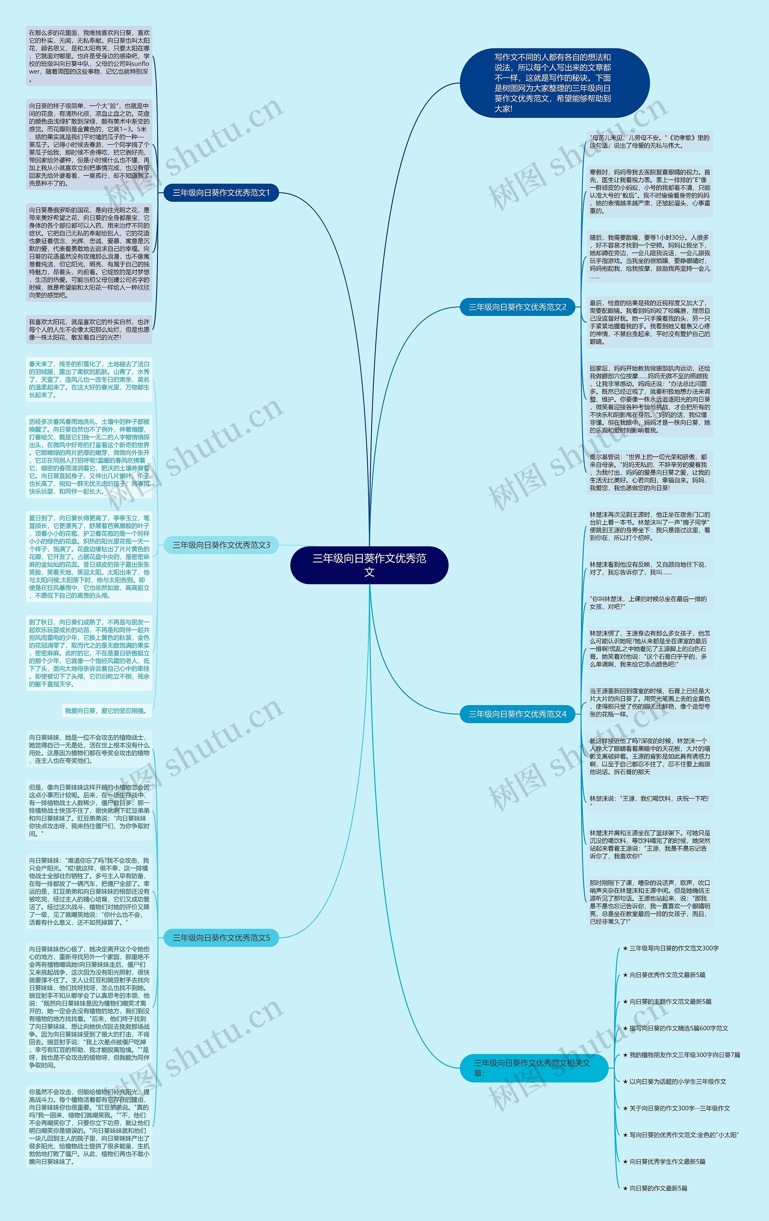 三年级向日葵作文优秀范文思维导图