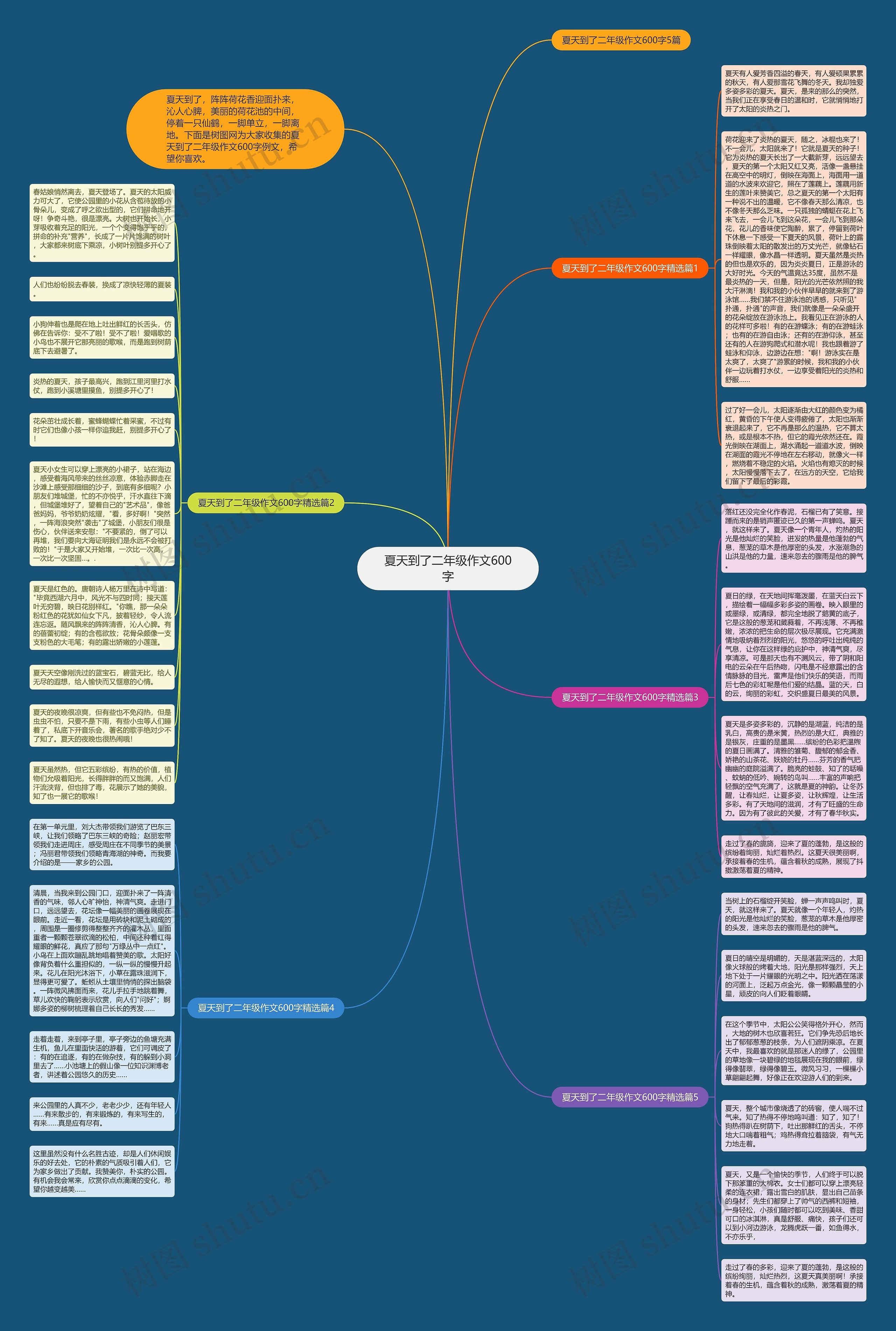 夏天到了二年级作文600字思维导图