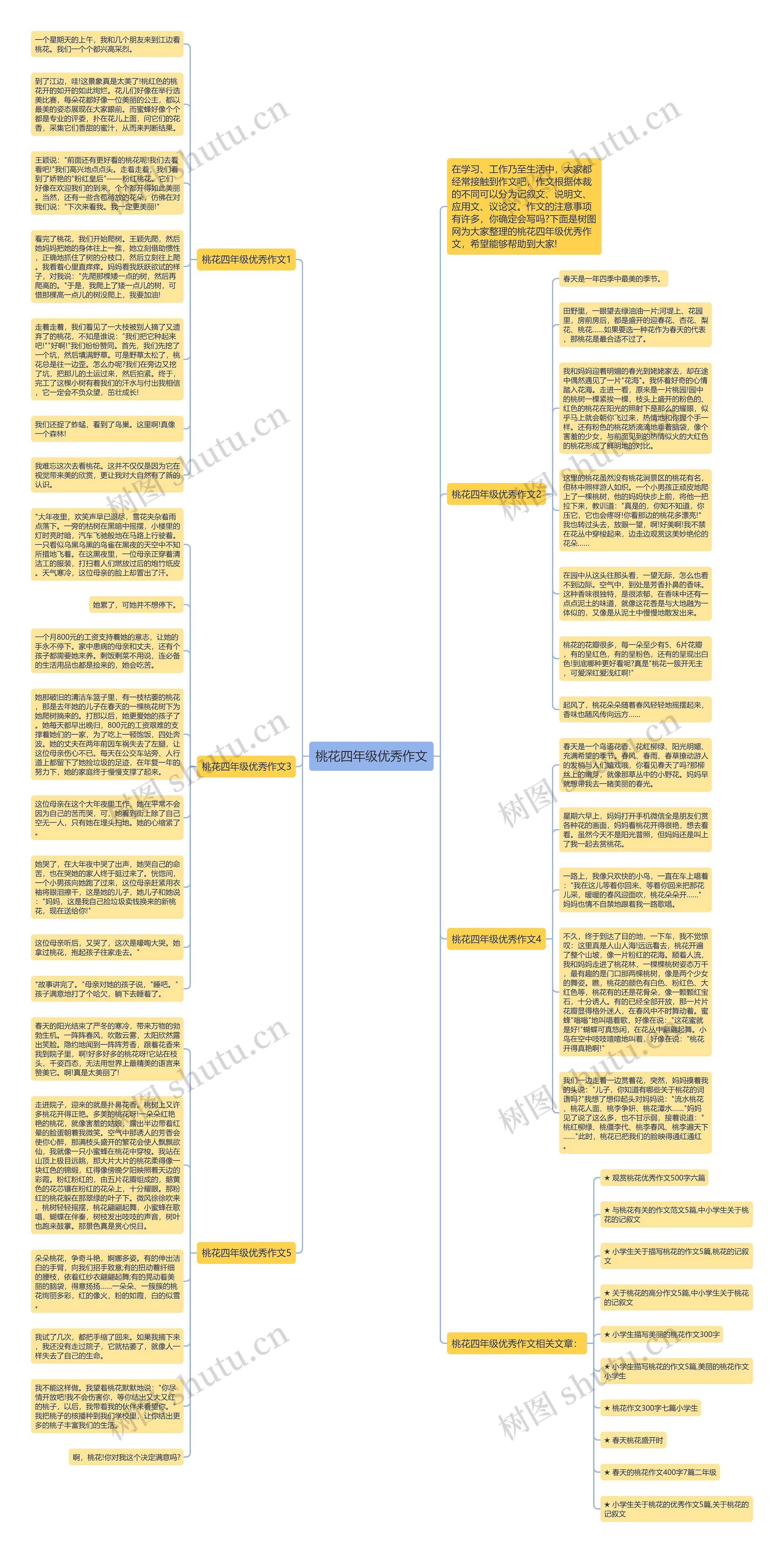 桃花四年级优秀作文思维导图