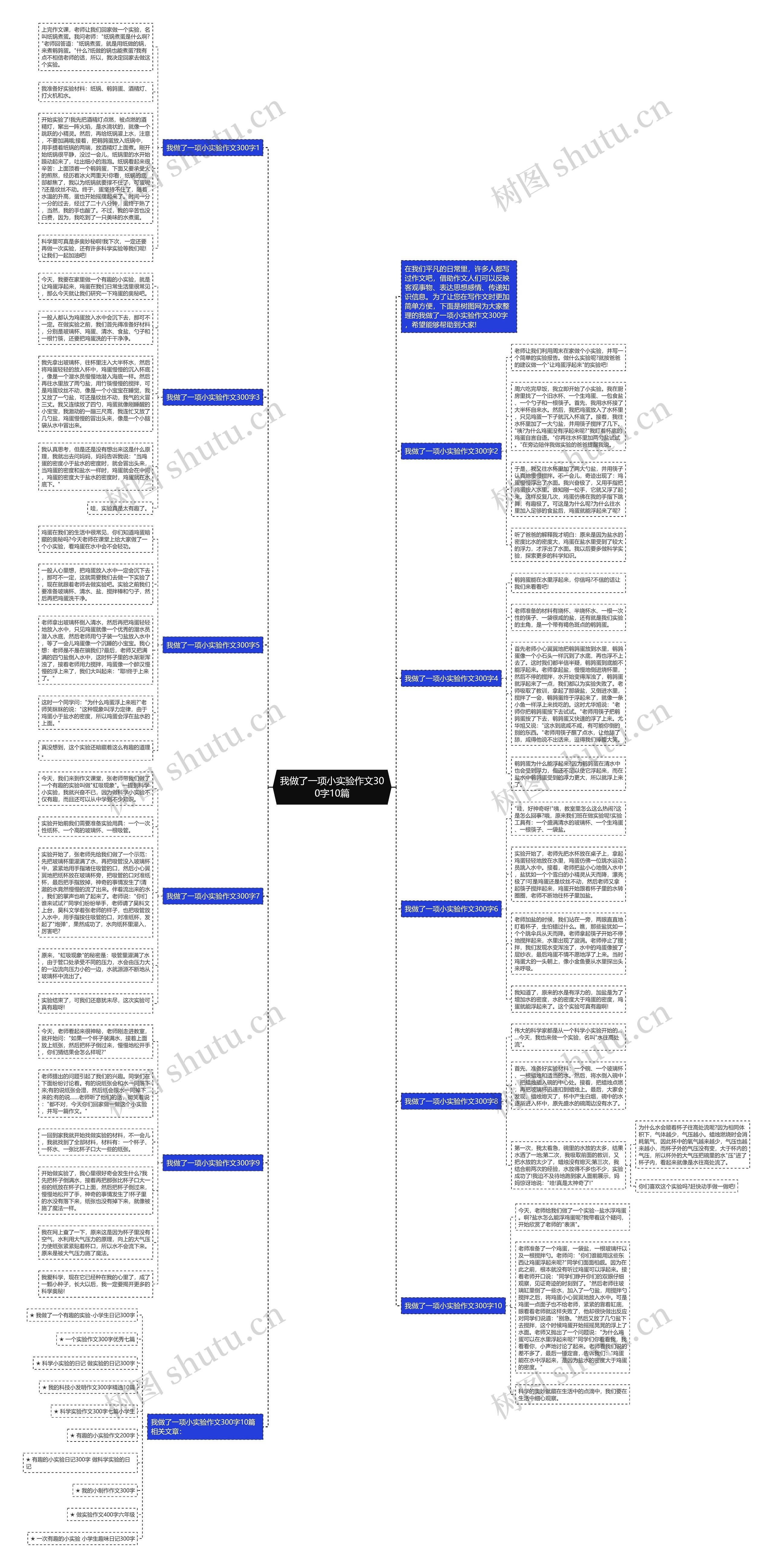 我做了一项小实验作文300字10篇思维导图