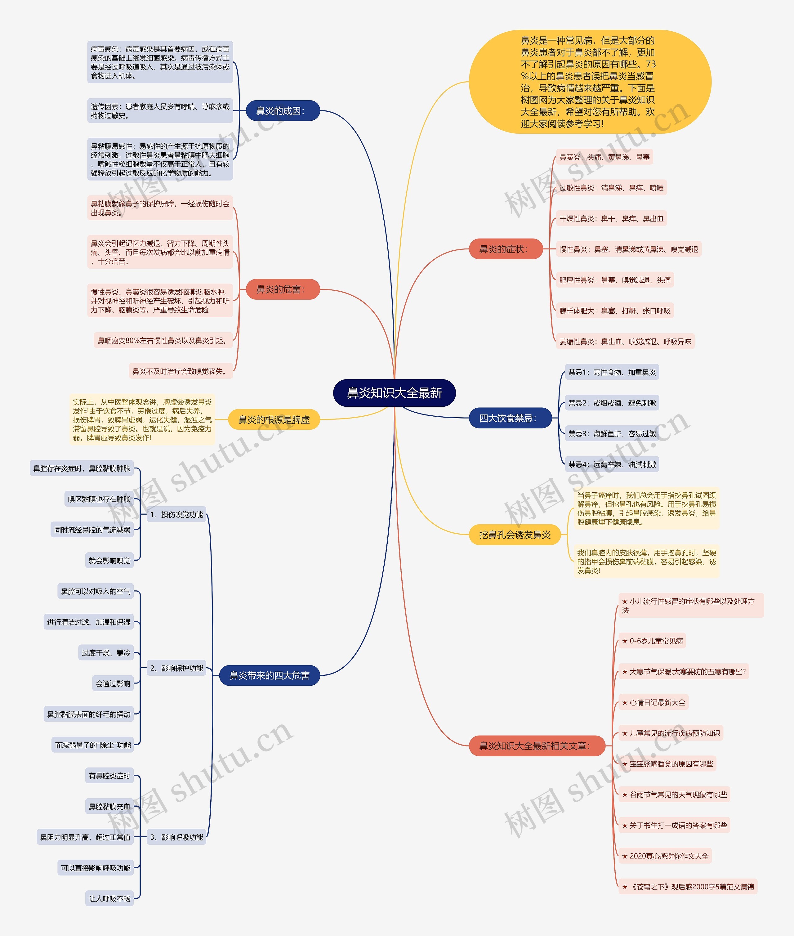 鼻炎知识大全最新思维导图