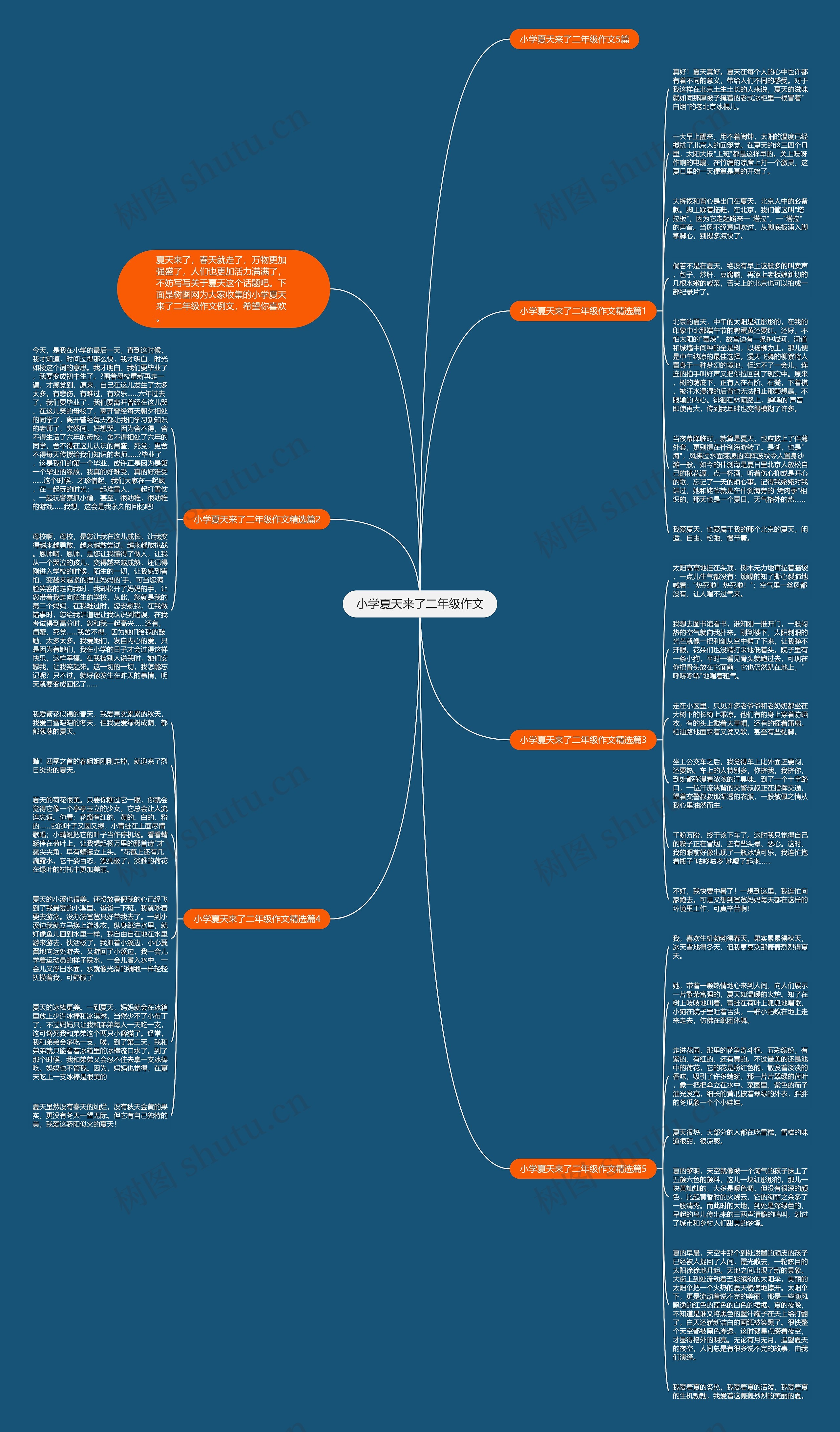 小学夏天来了二年级作文思维导图