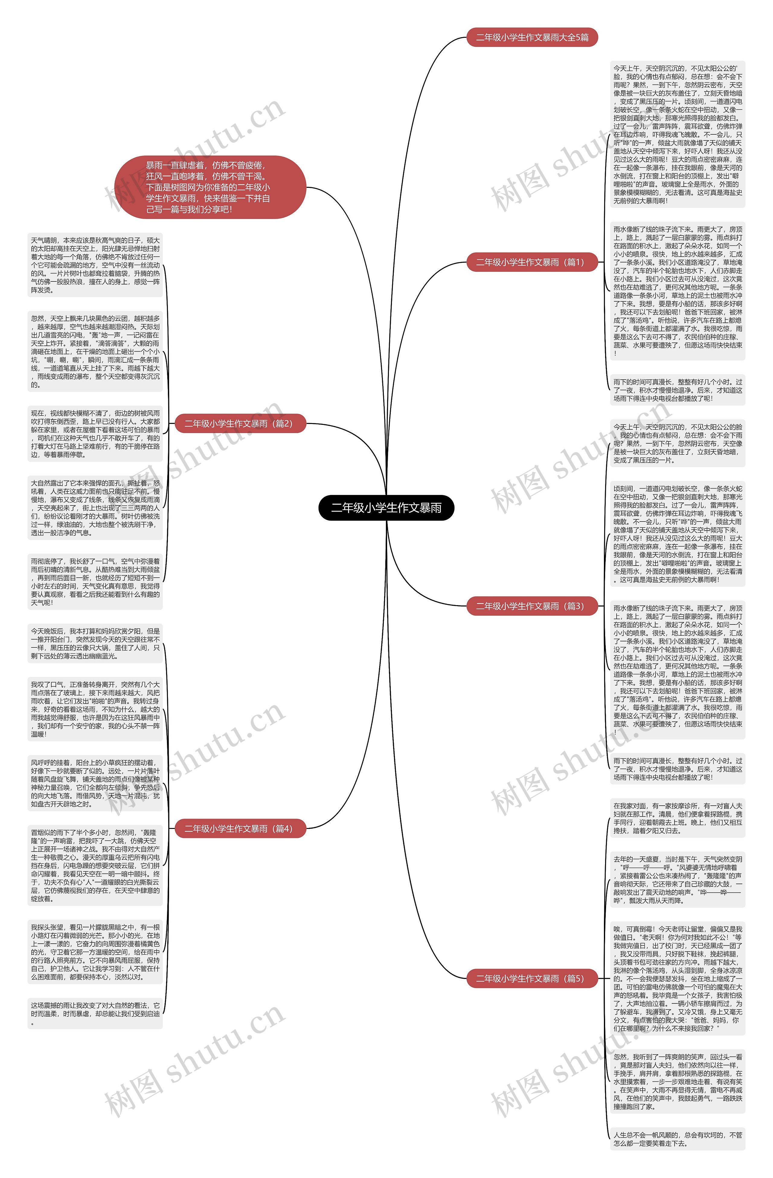 二年级小学生作文暴雨思维导图