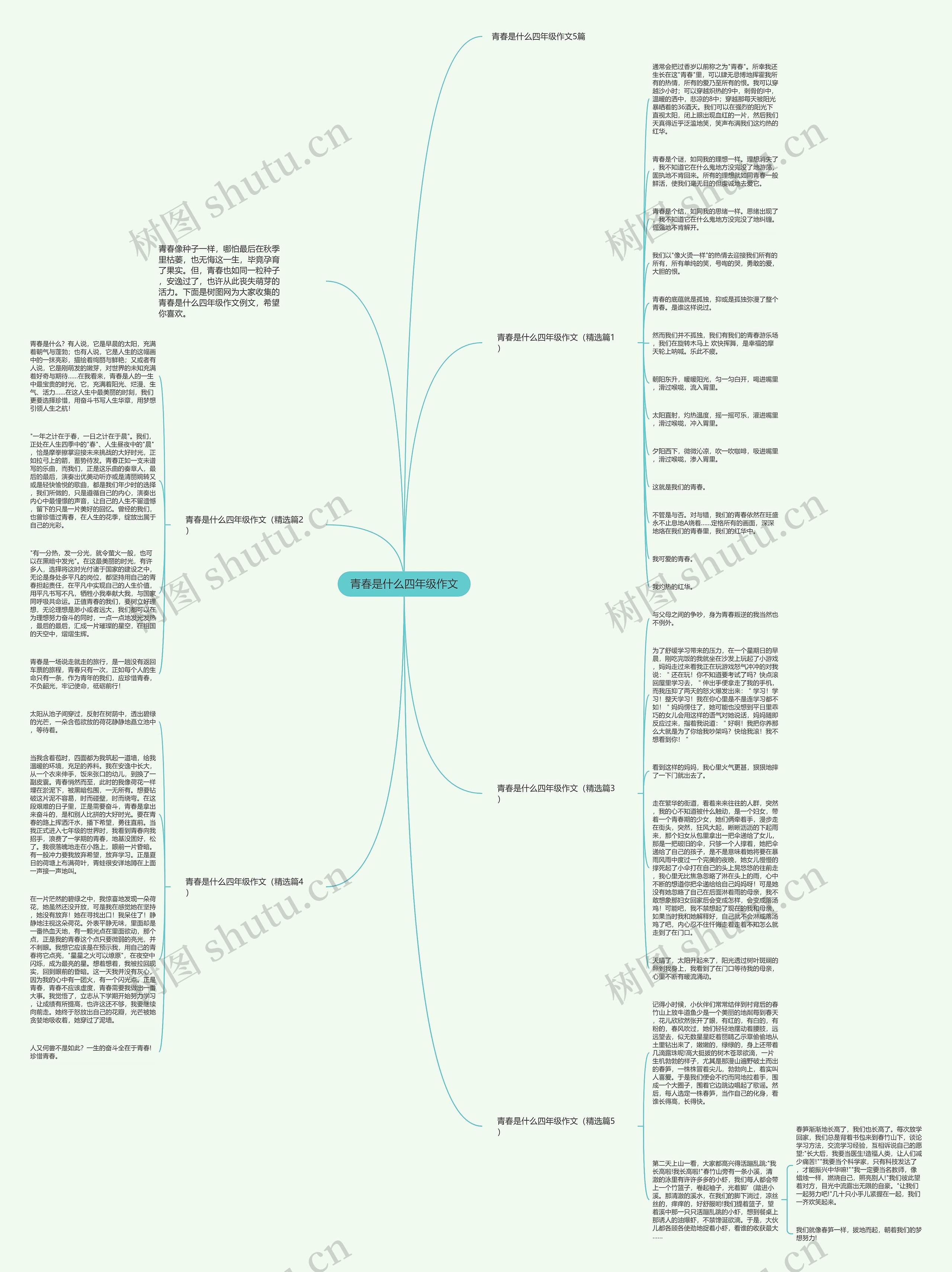 青春是什么四年级作文思维导图