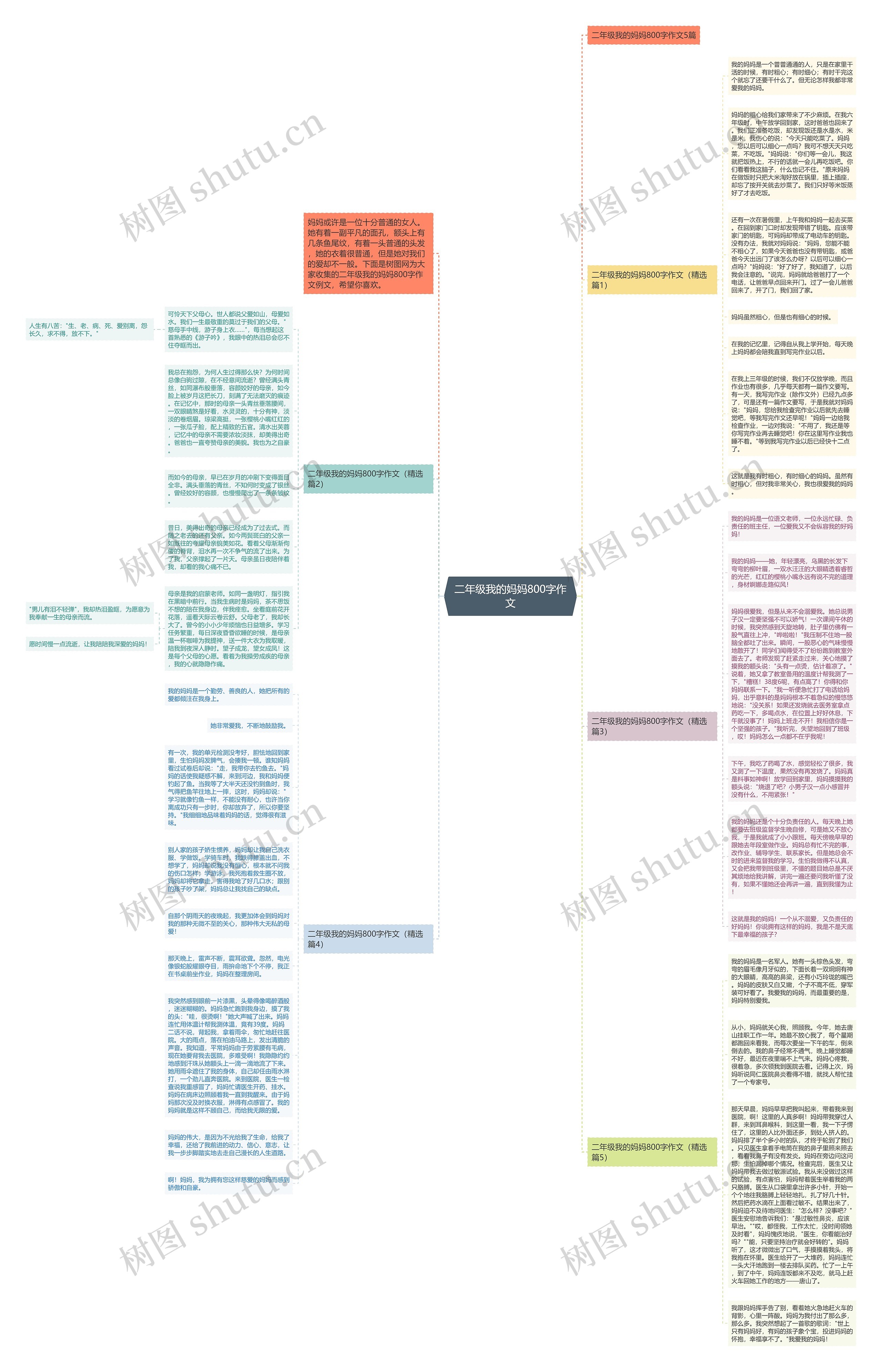 二年级我的妈妈800字作文思维导图