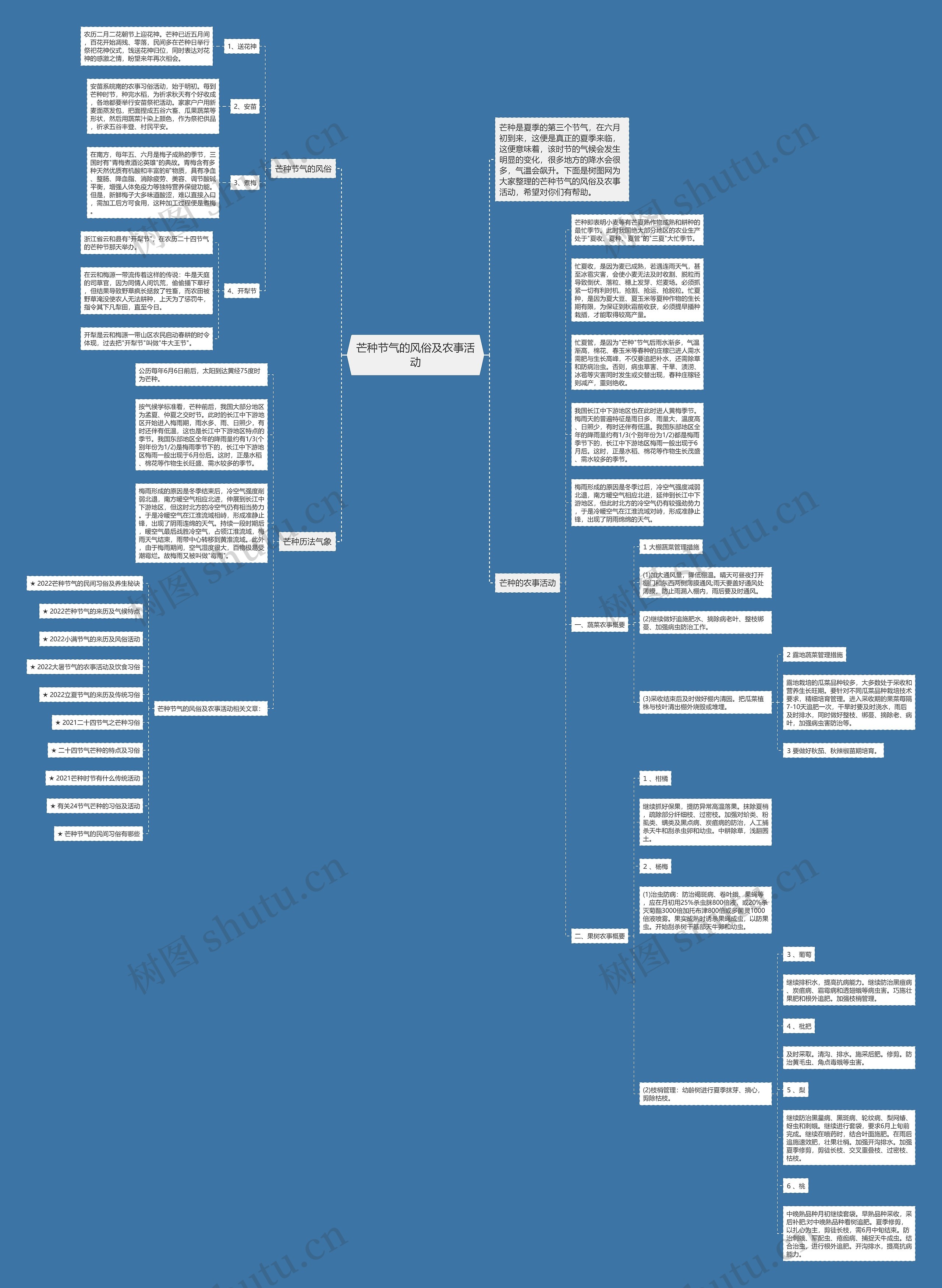 芒种节气的风俗及农事活动思维导图