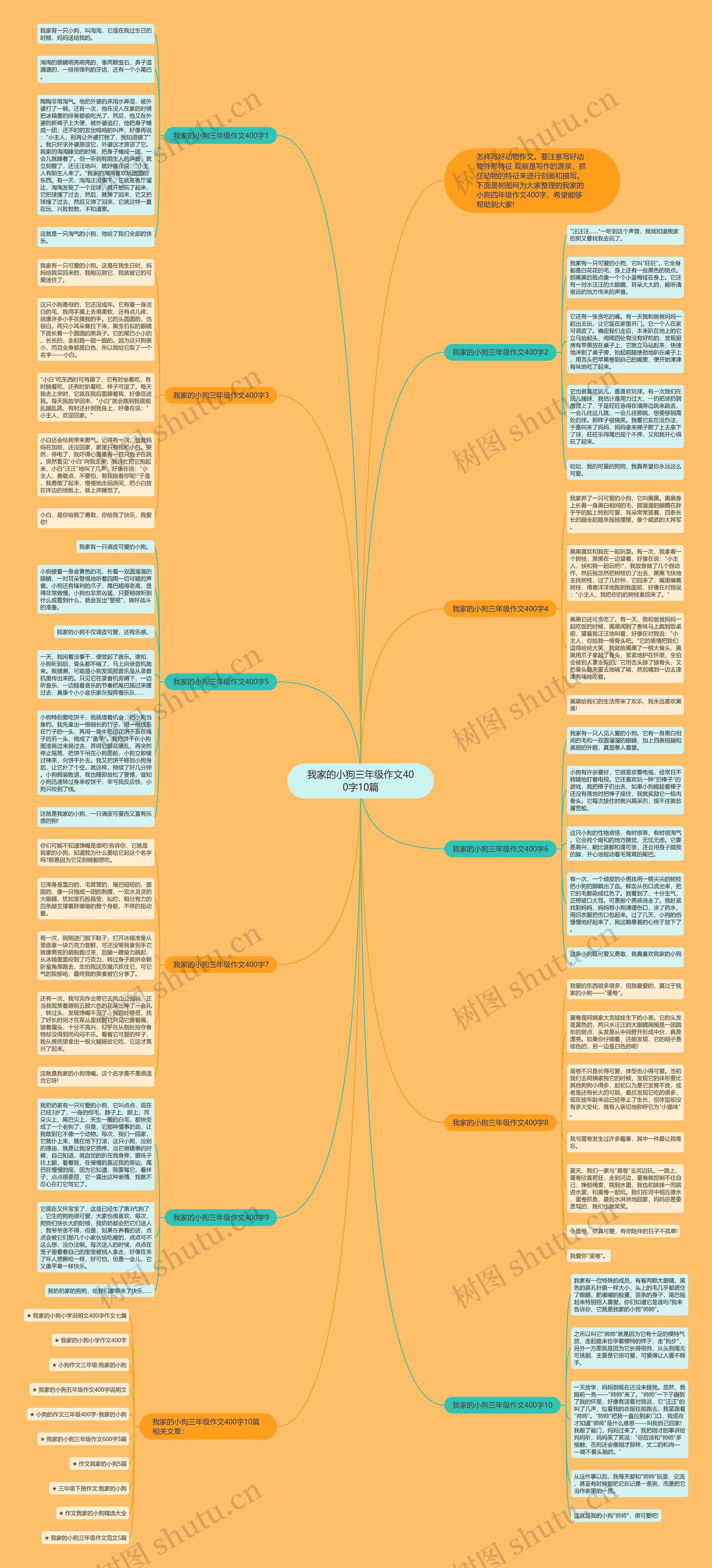 我家的小狗三年级作文400字10篇思维导图