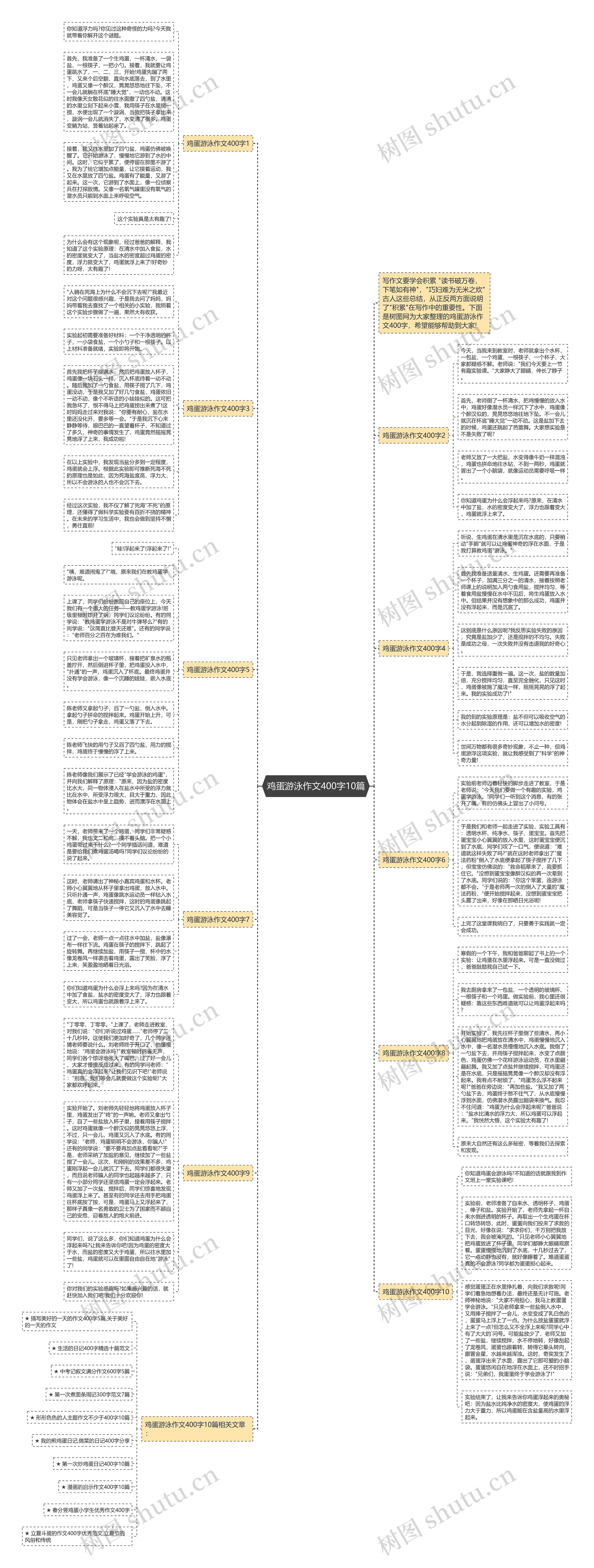 鸡蛋游泳作文400字10篇思维导图