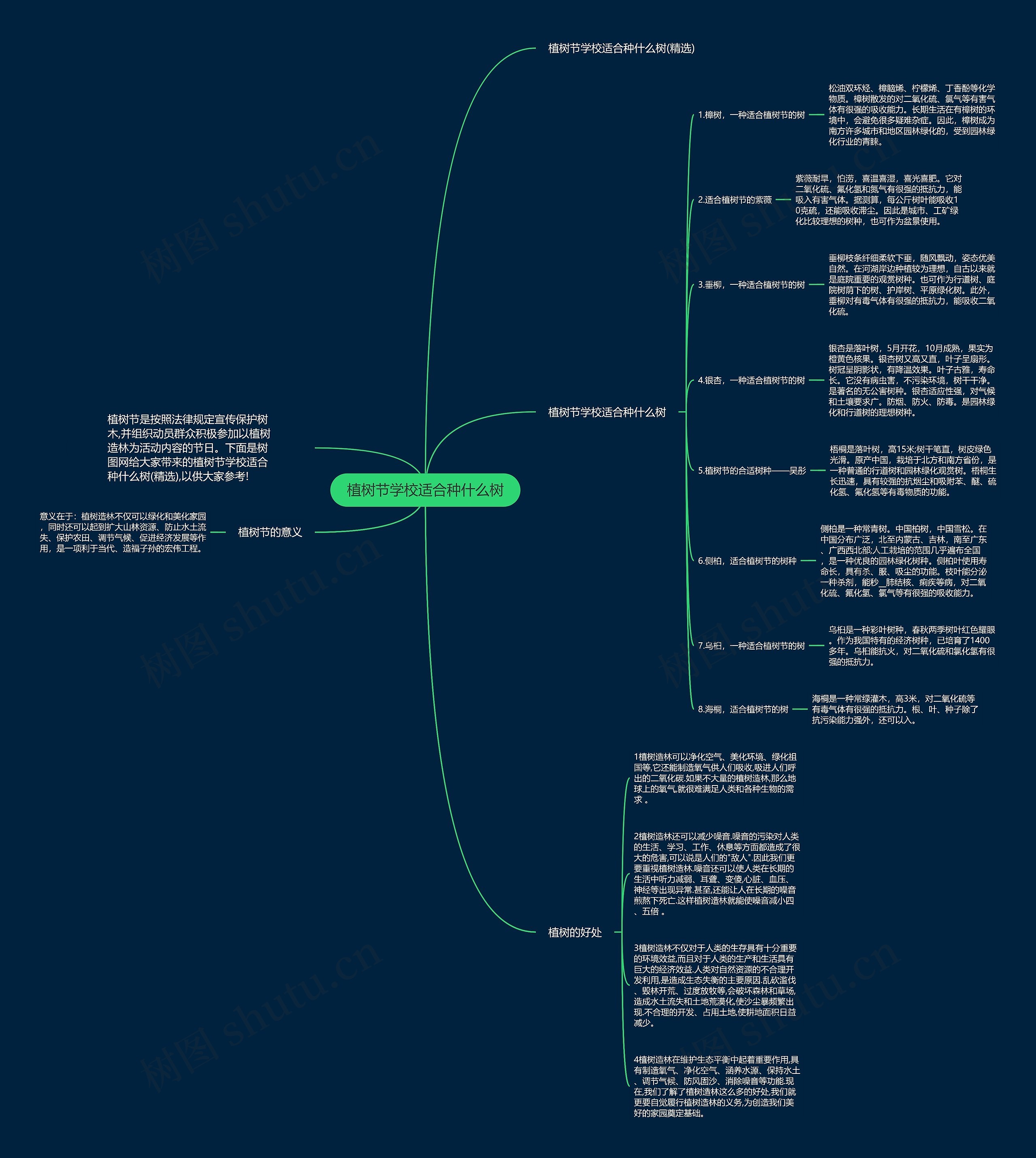 植树节学校适合种什么树思维导图