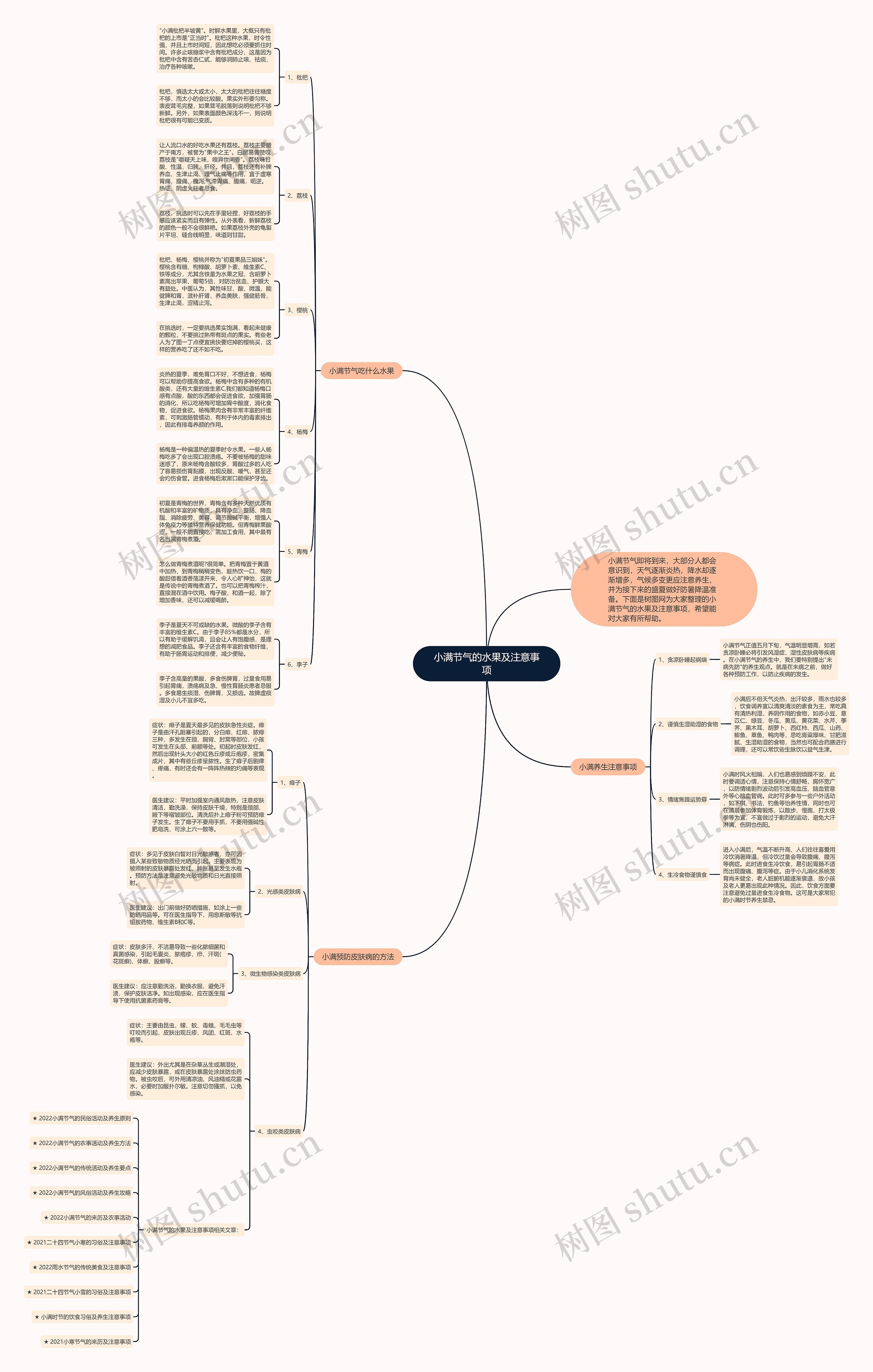 小满节气的水果及注意事项思维导图