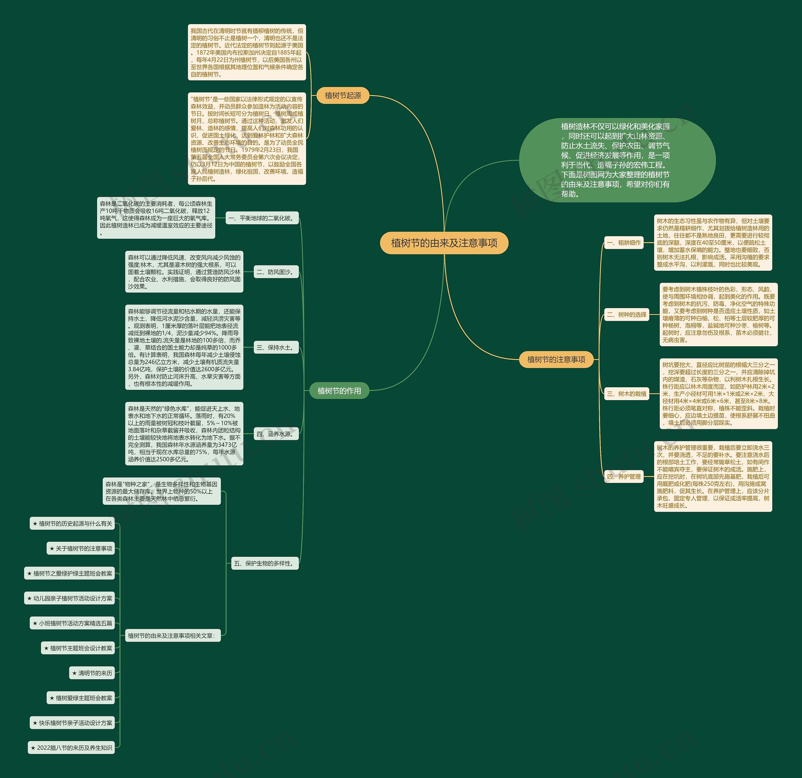 植树节的由来及注意事项思维导图