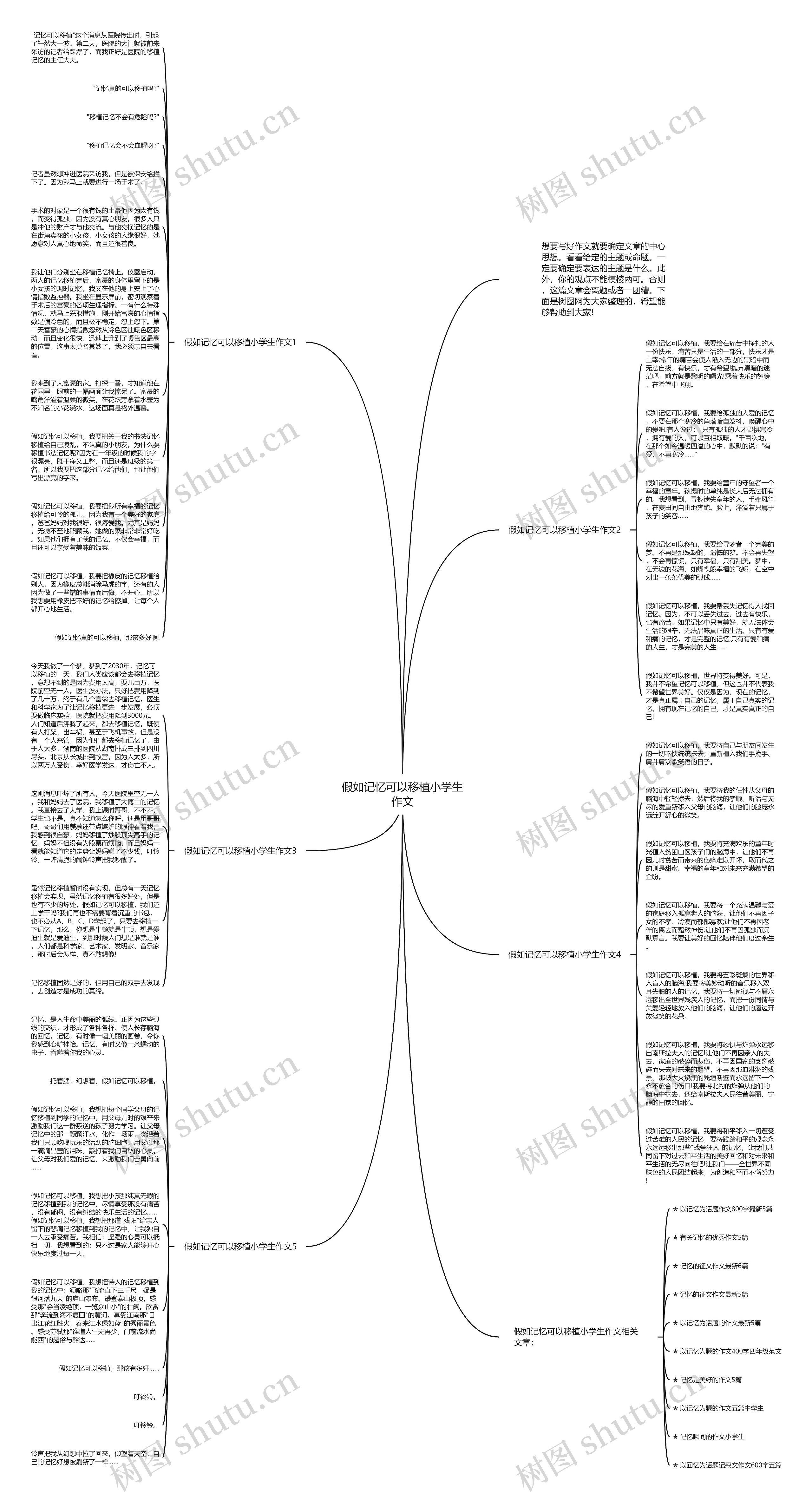 假如记忆可以移植小学生作文思维导图