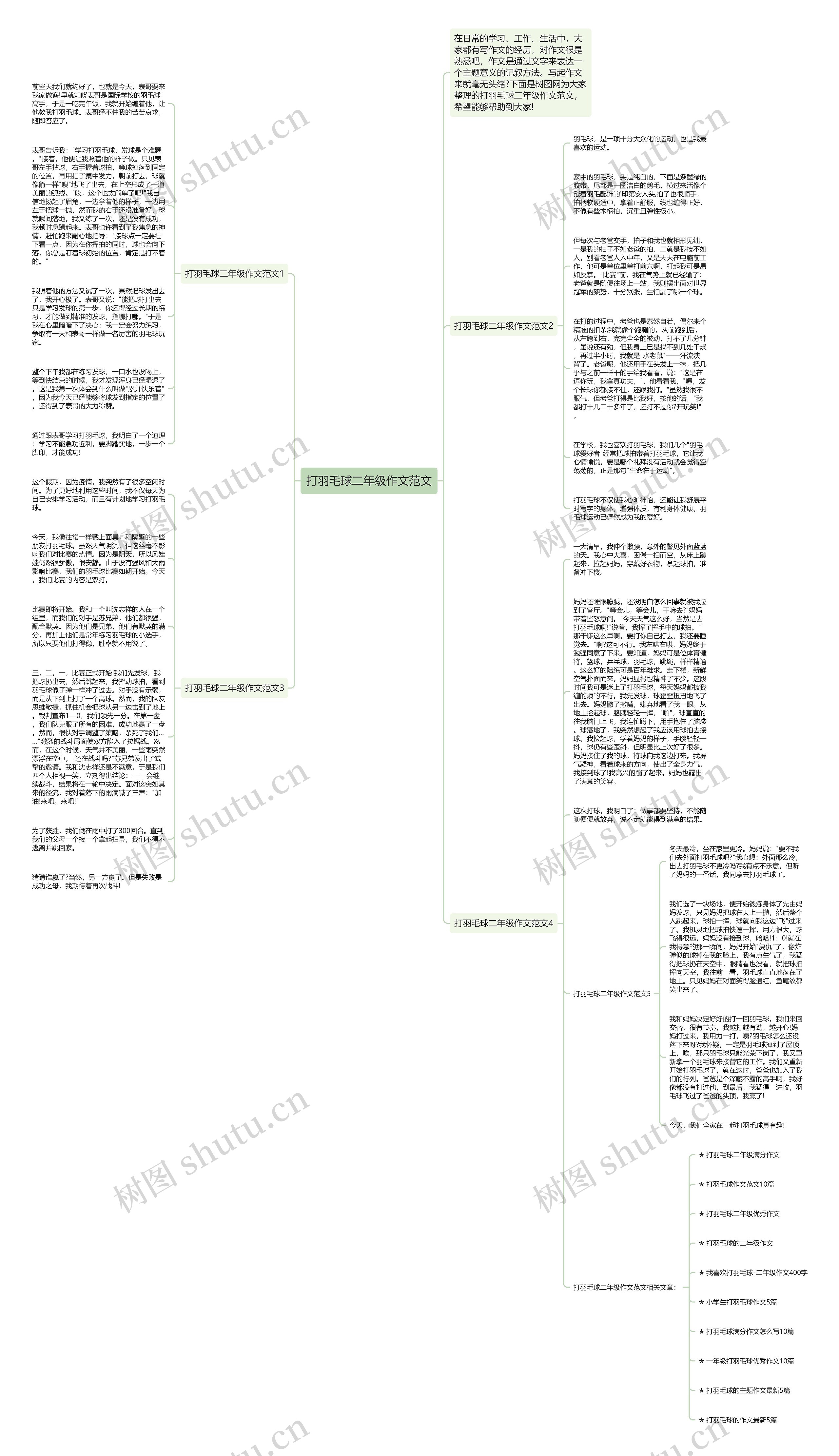 打羽毛球二年级作文范文