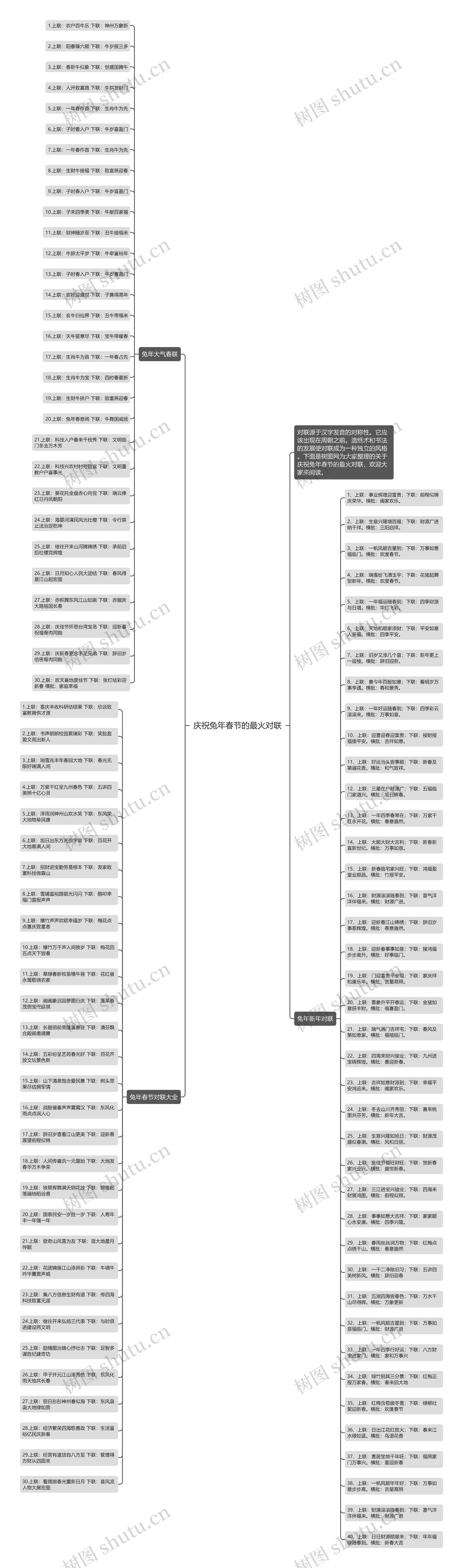 庆祝兔年春节的最火对联思维导图