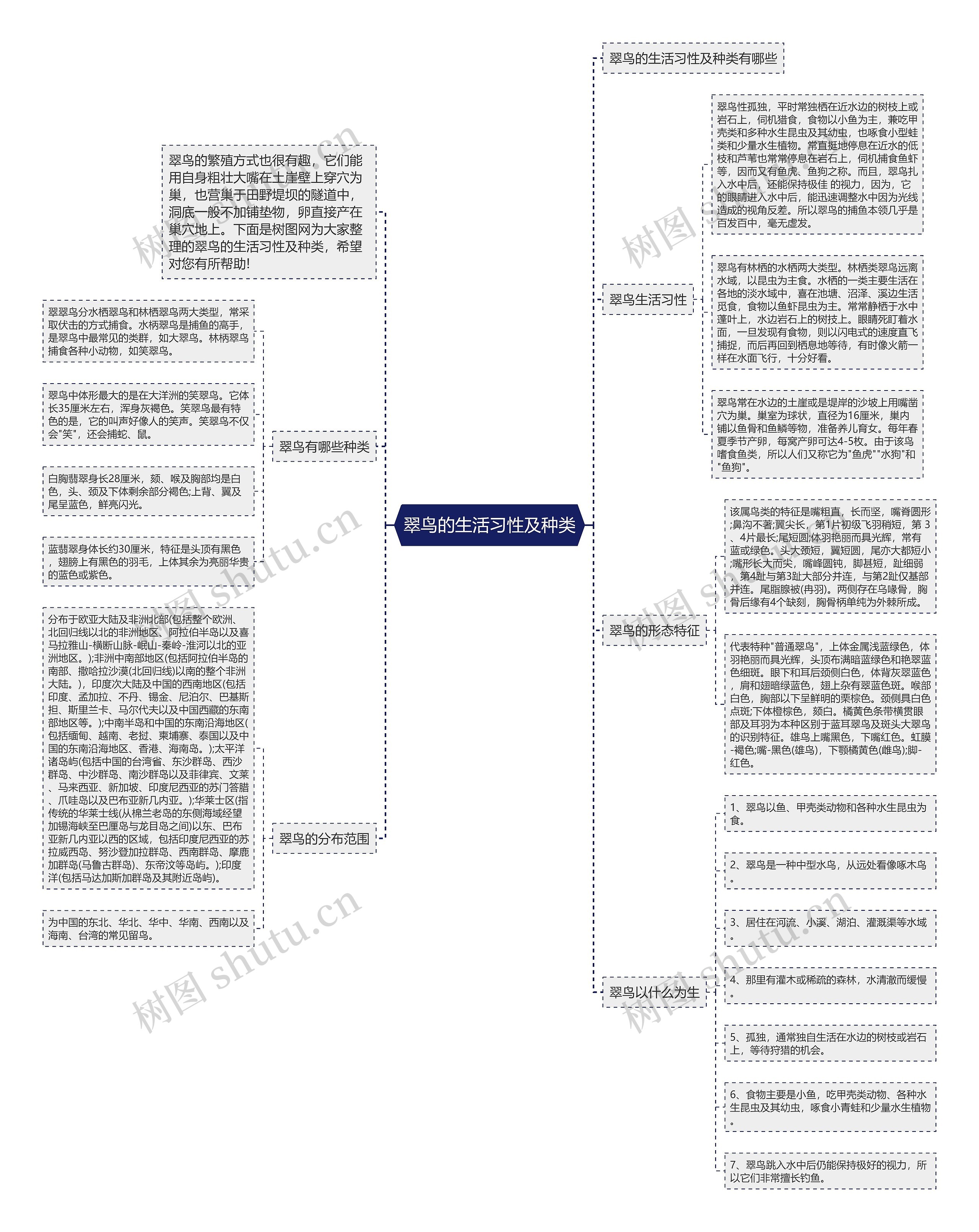 翠鸟的生活习性及种类