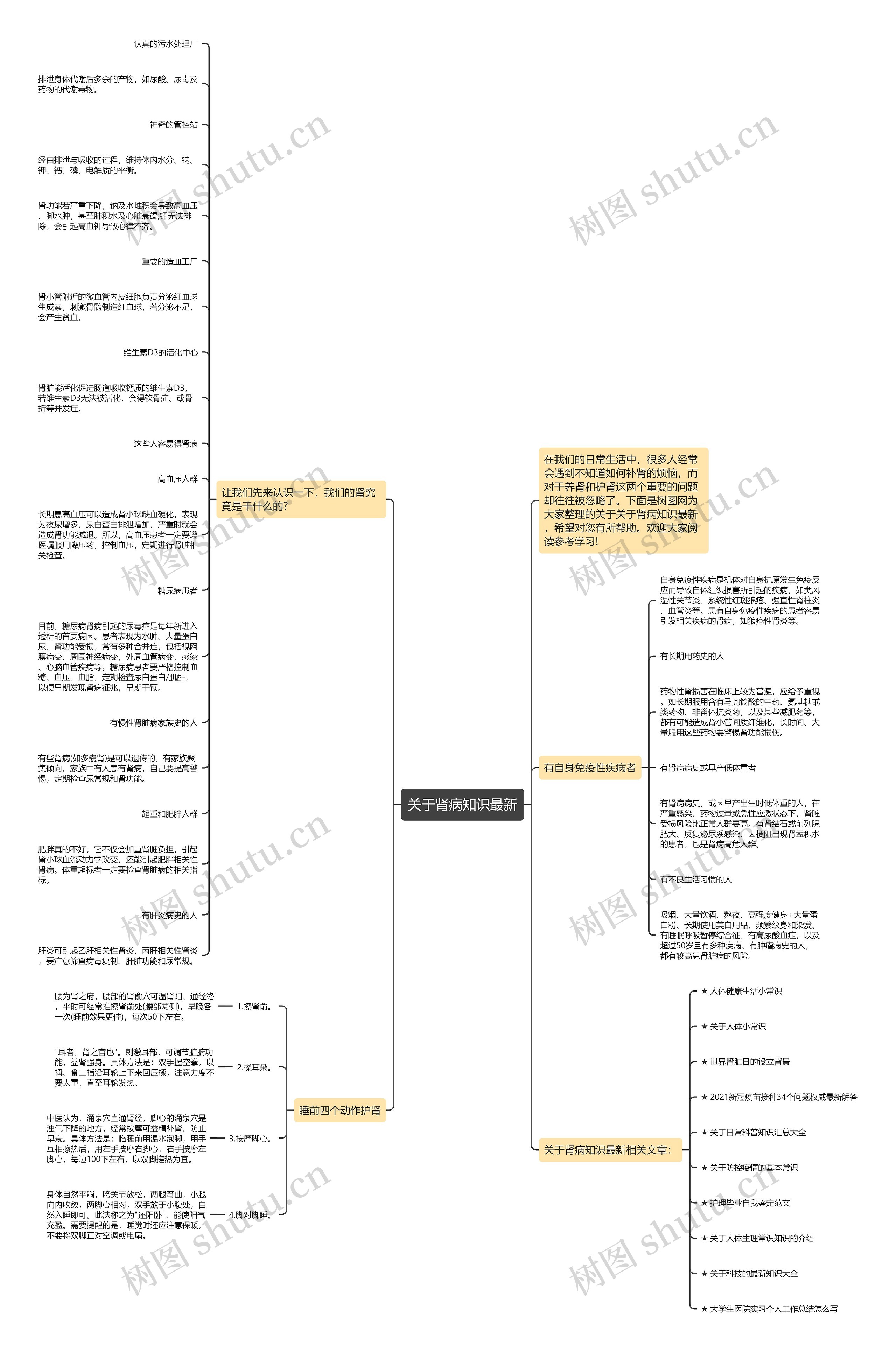 关于肾病知识最新思维导图