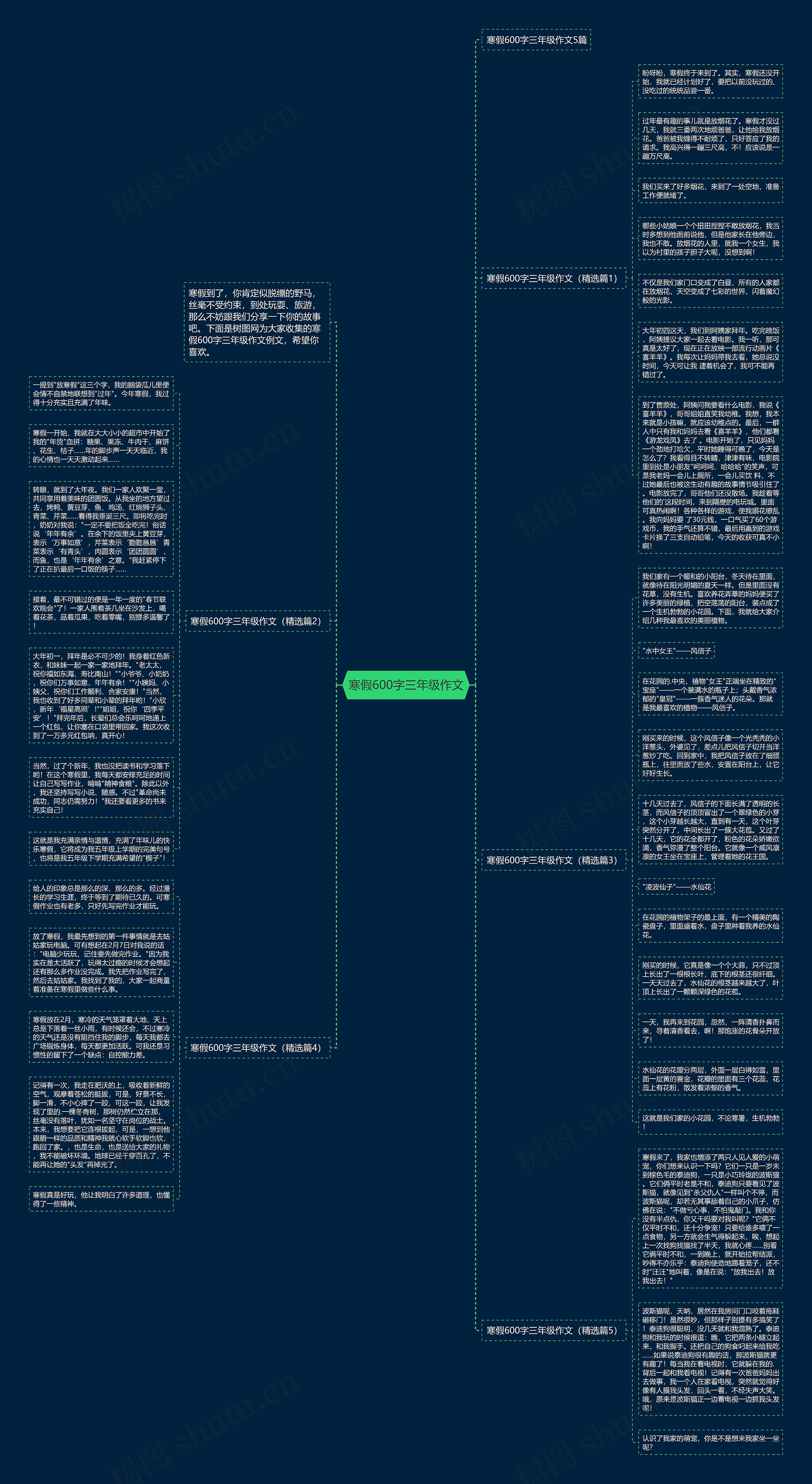寒假600字三年级作文思维导图