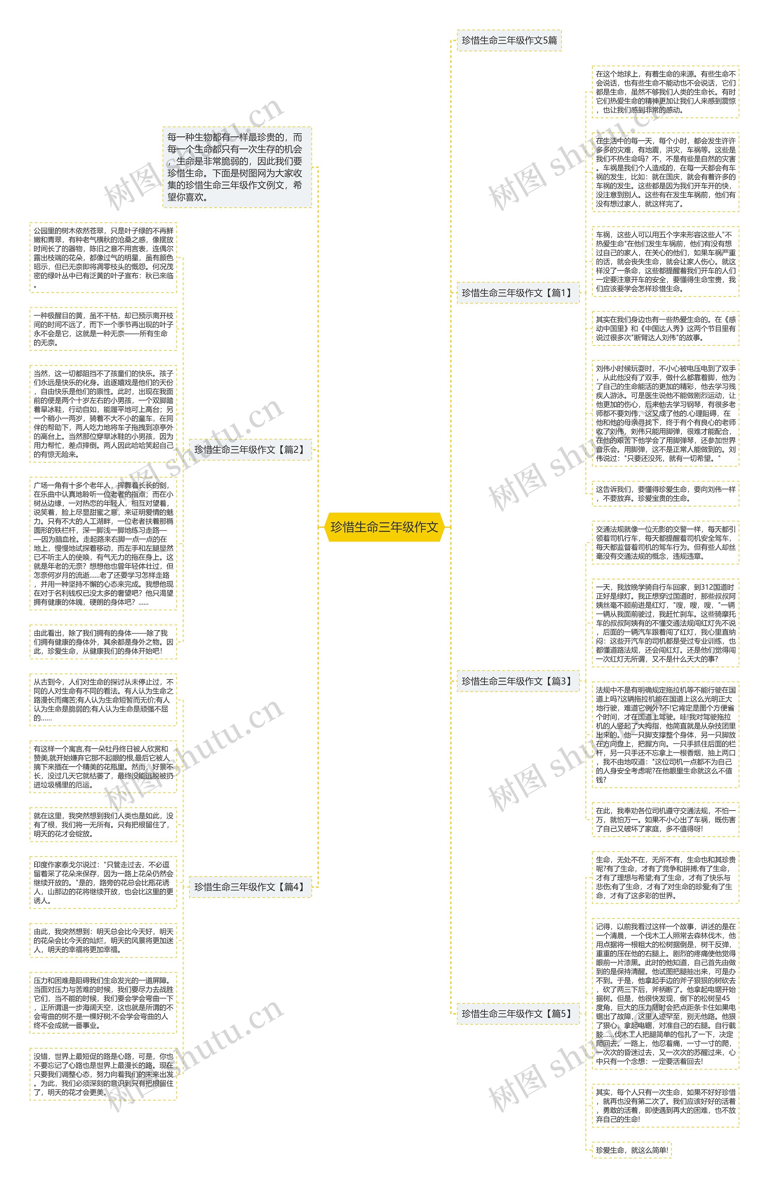 珍惜生命三年级作文思维导图