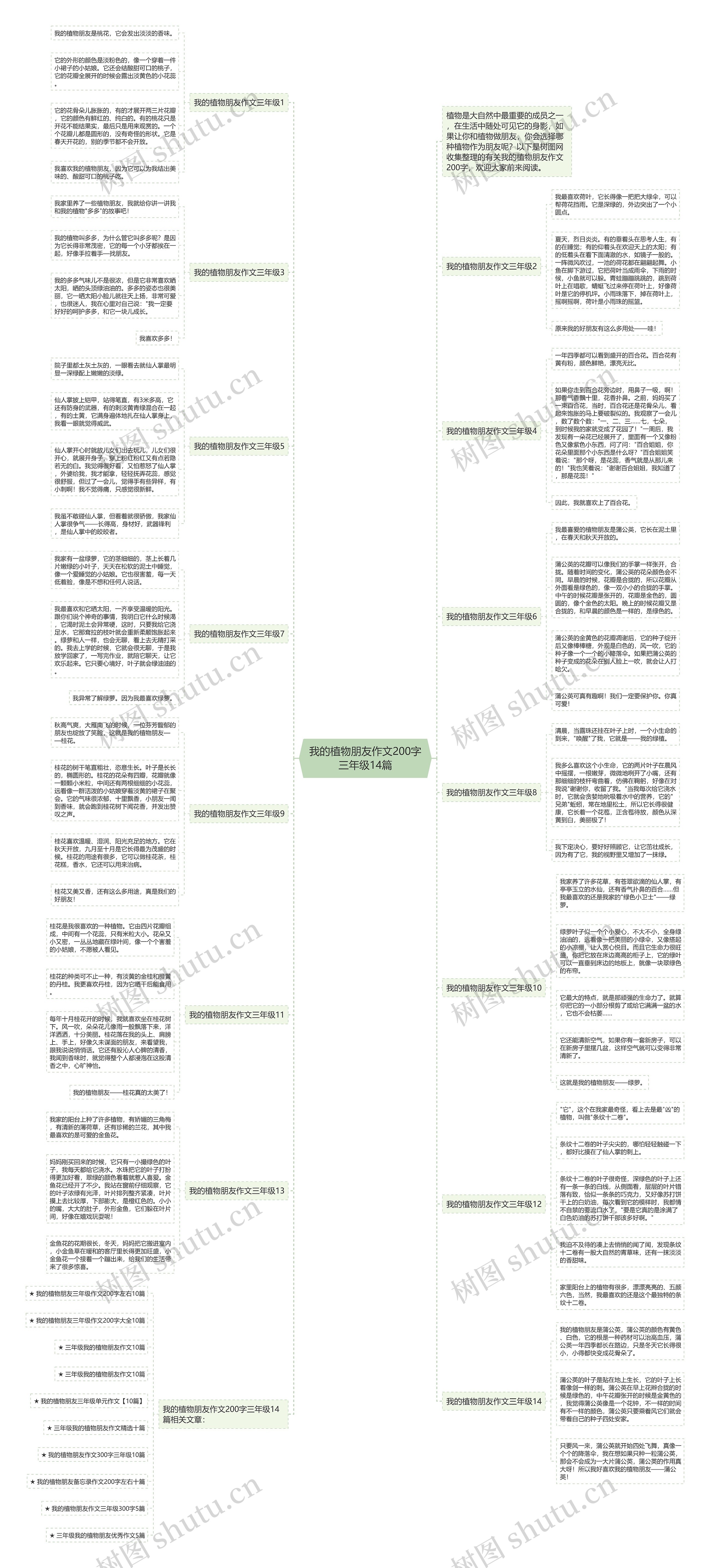 我的植物朋友作文200字三年级14篇