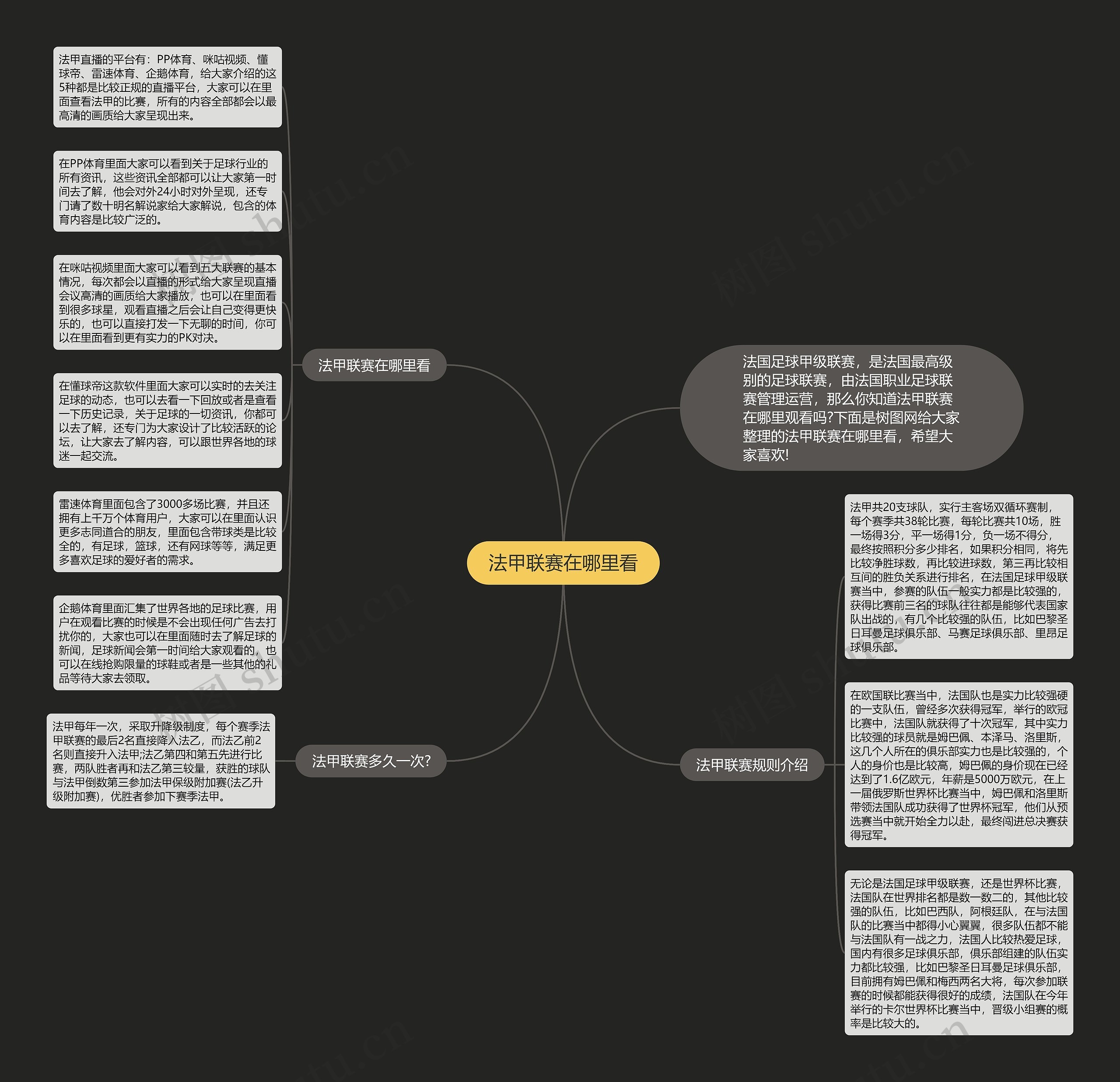 法甲联赛在哪里看思维导图
