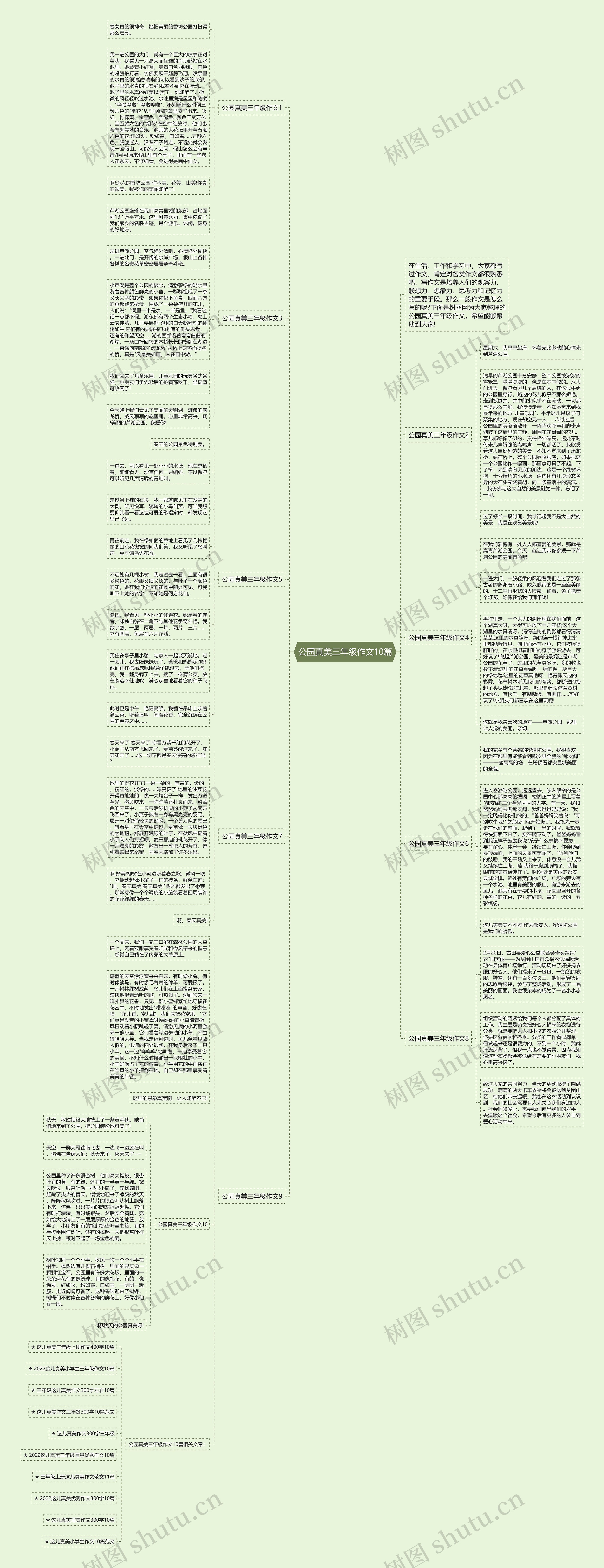 公园真美三年级作文10篇思维导图