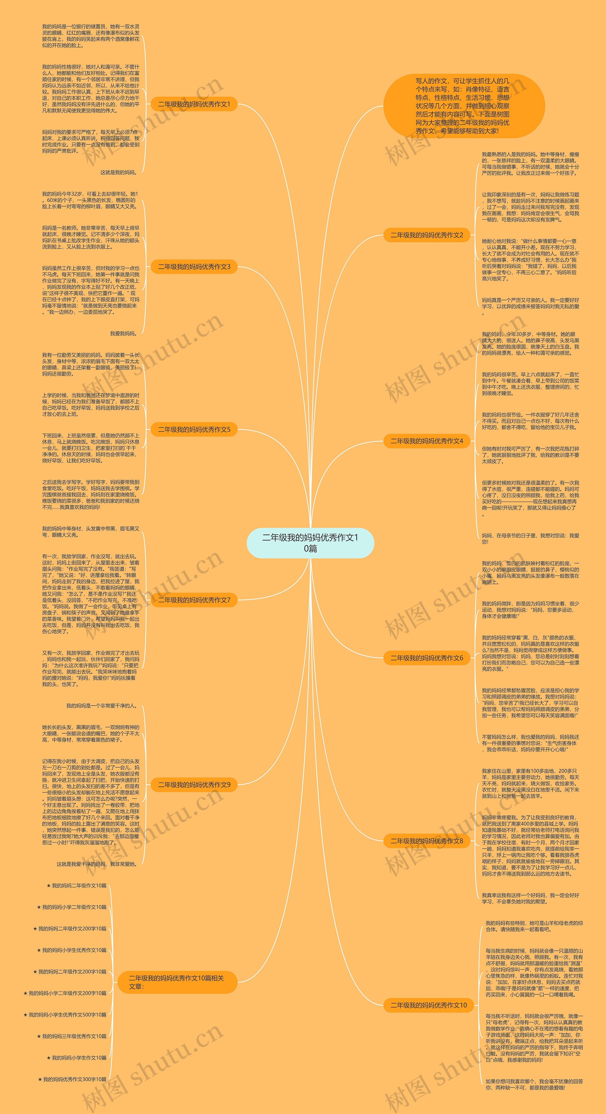 二年级我的妈妈优秀作文10篇思维导图