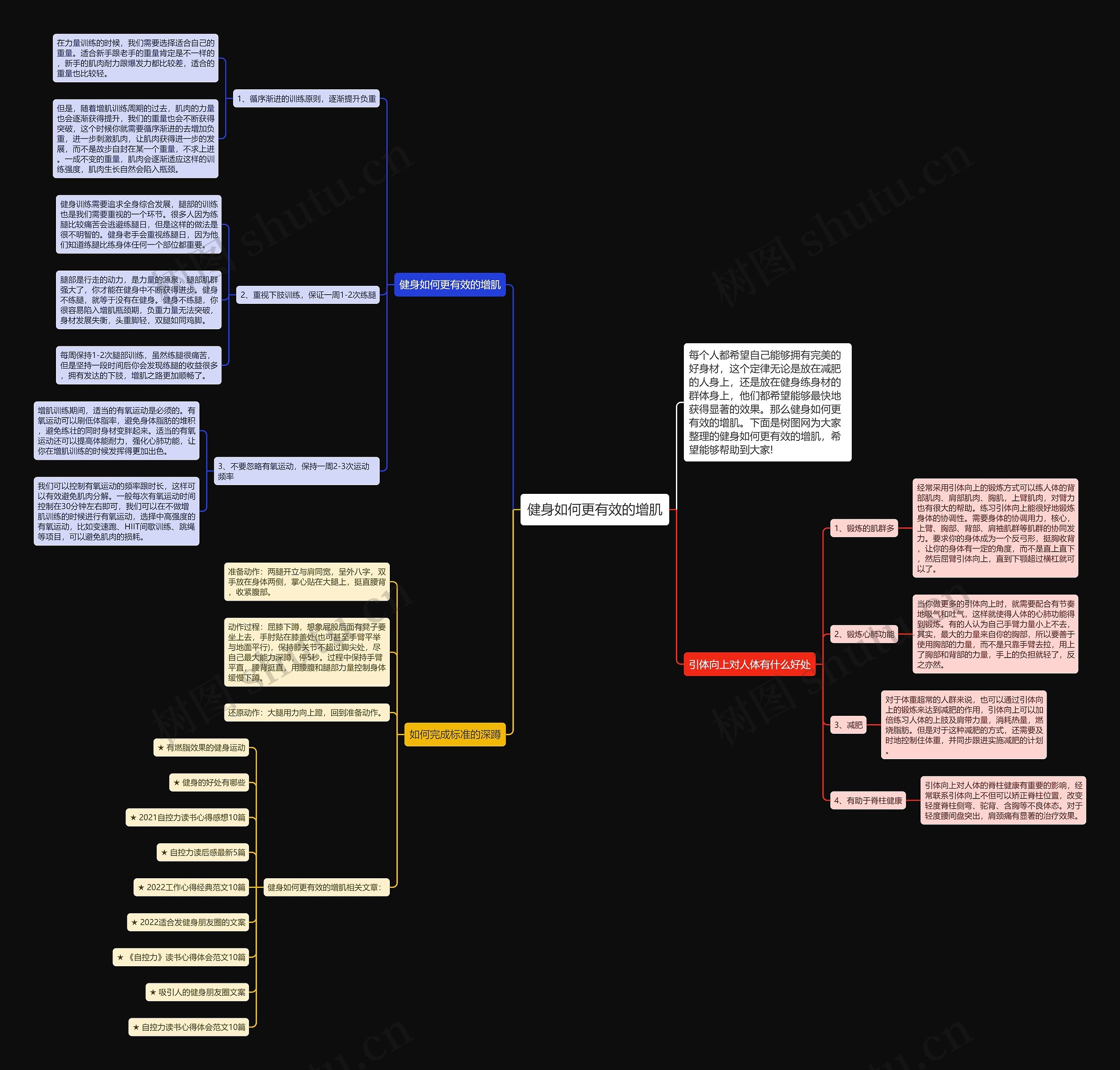 健身如何更有效的增肌思维导图