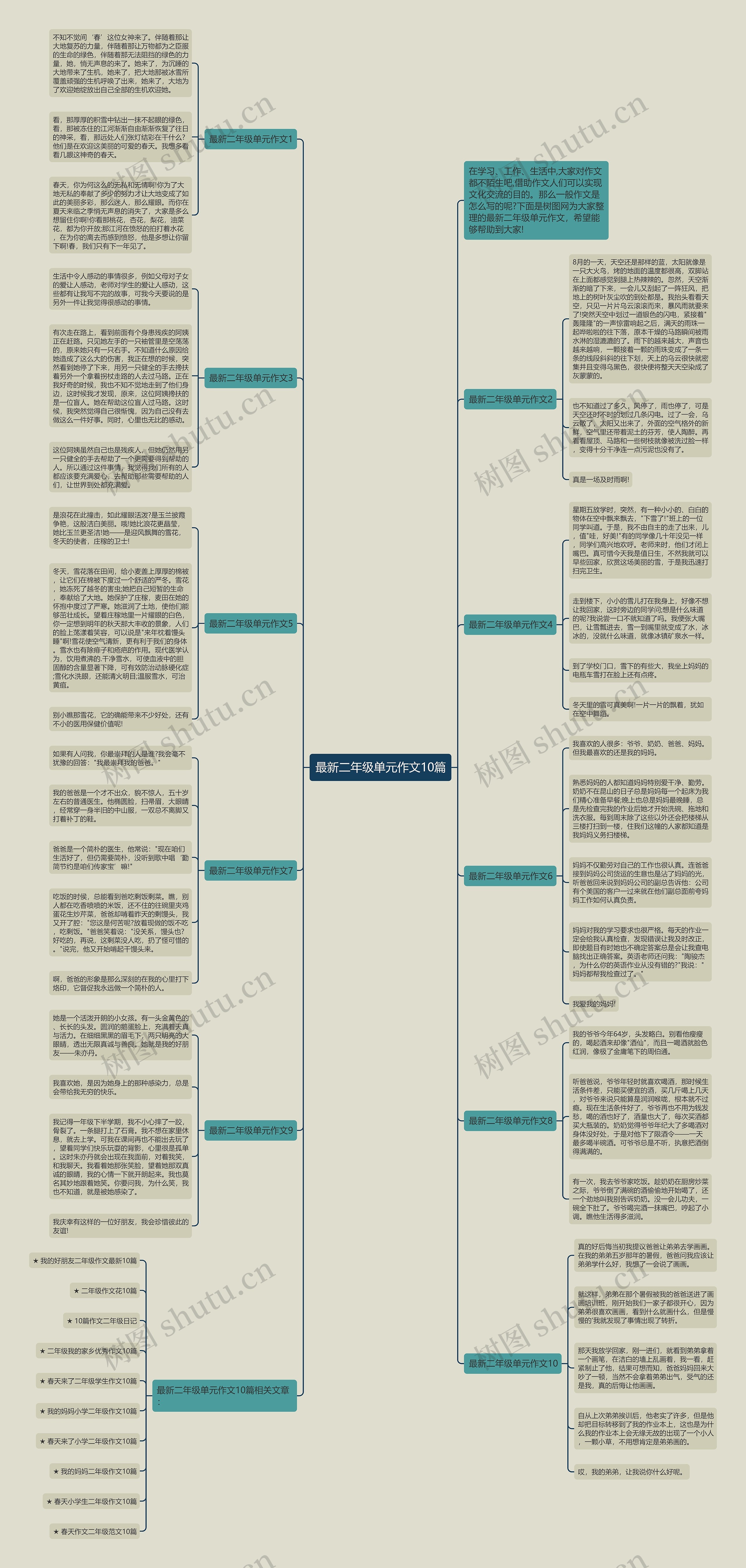最新二年级单元作文10篇思维导图