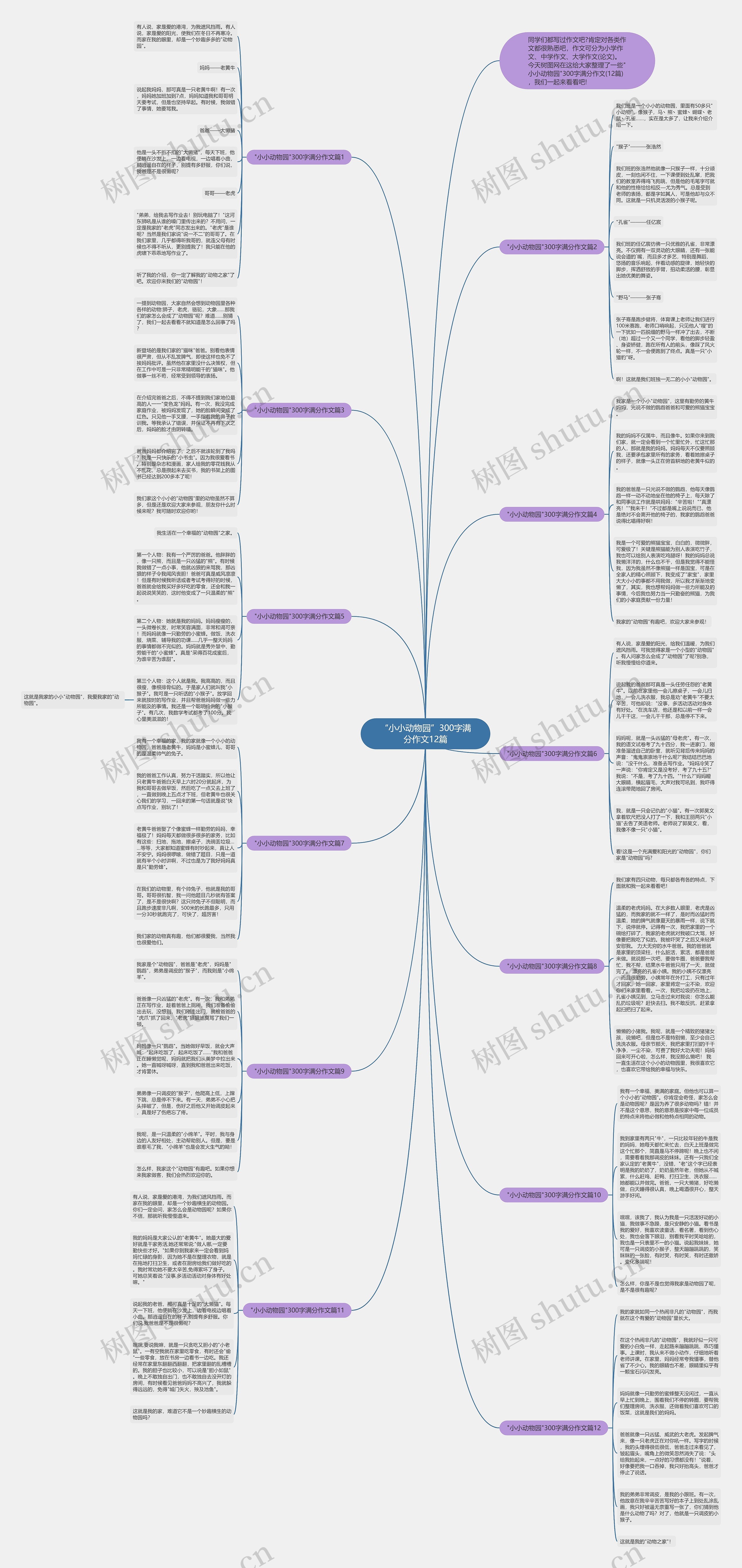 “小小动物园”300字满分作文12篇思维导图