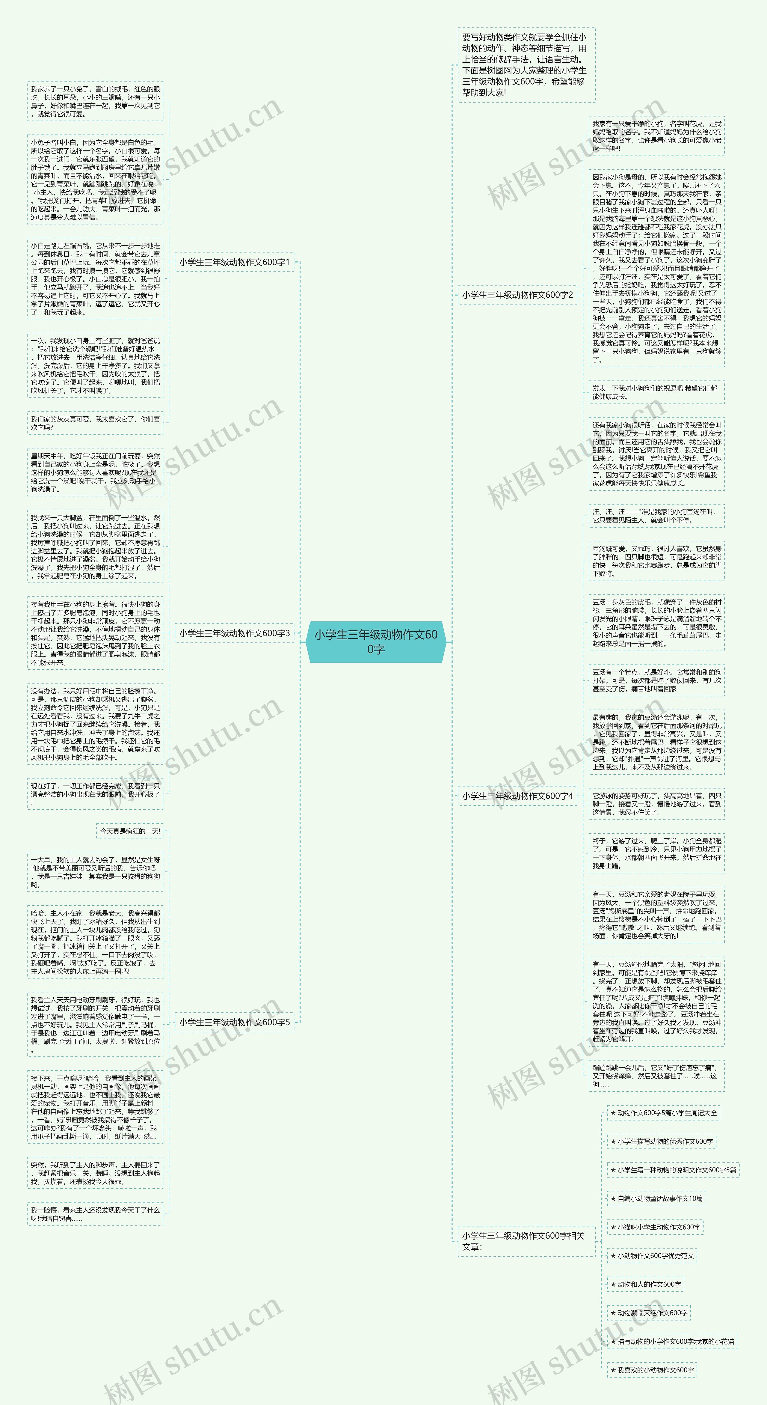 小学生三年级动物作文600字思维导图