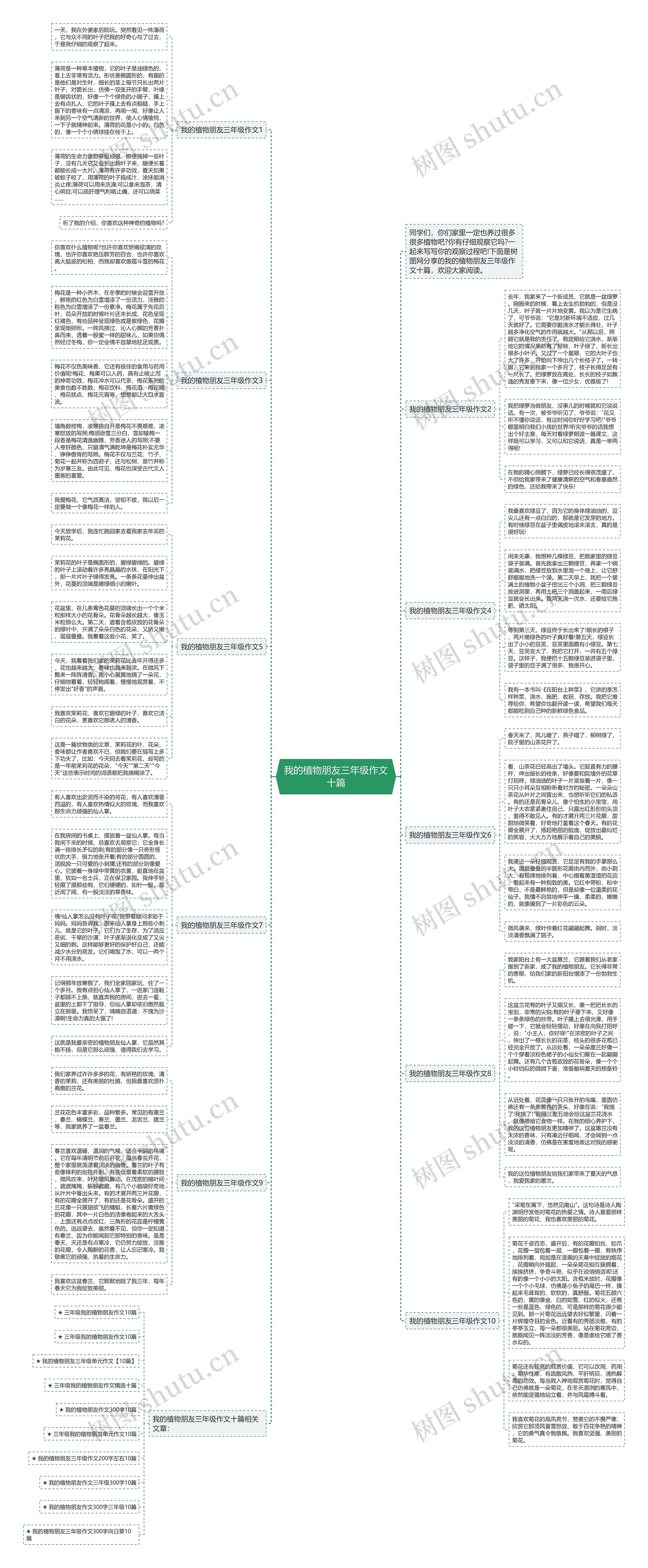 我的植物朋友三年级作文十篇思维导图