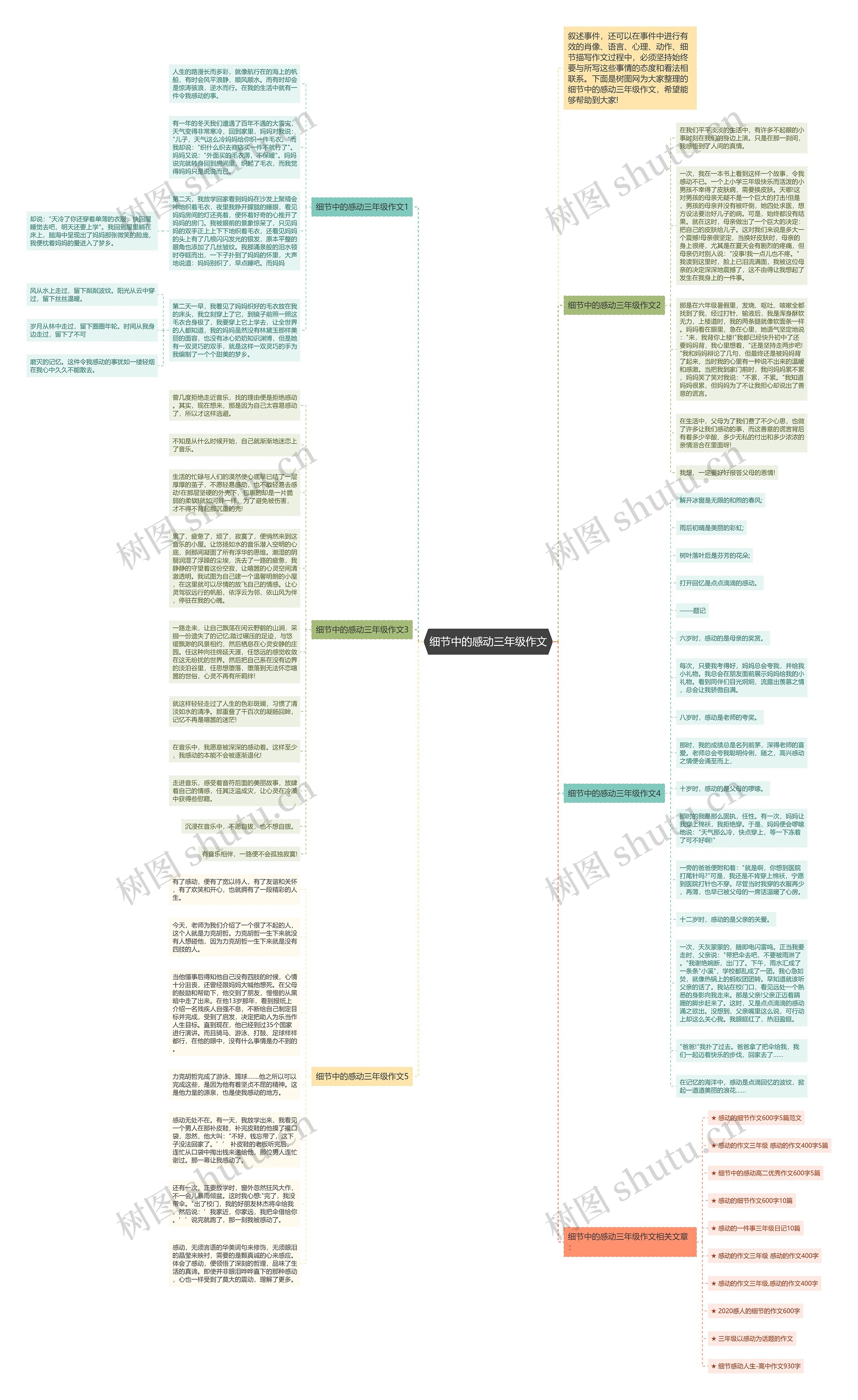 细节中的感动三年级作文思维导图