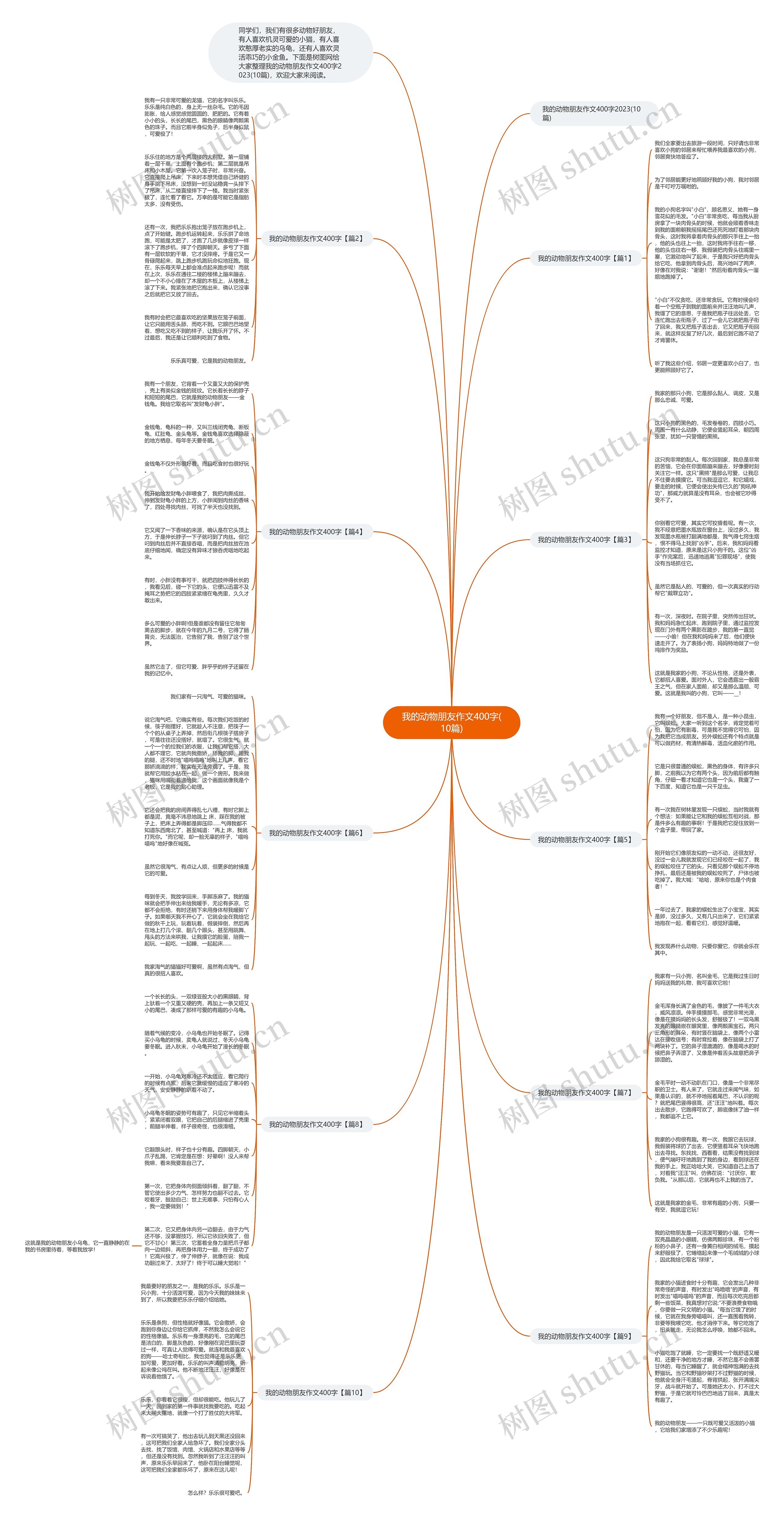 我的动物朋友作文400字(10篇)思维导图