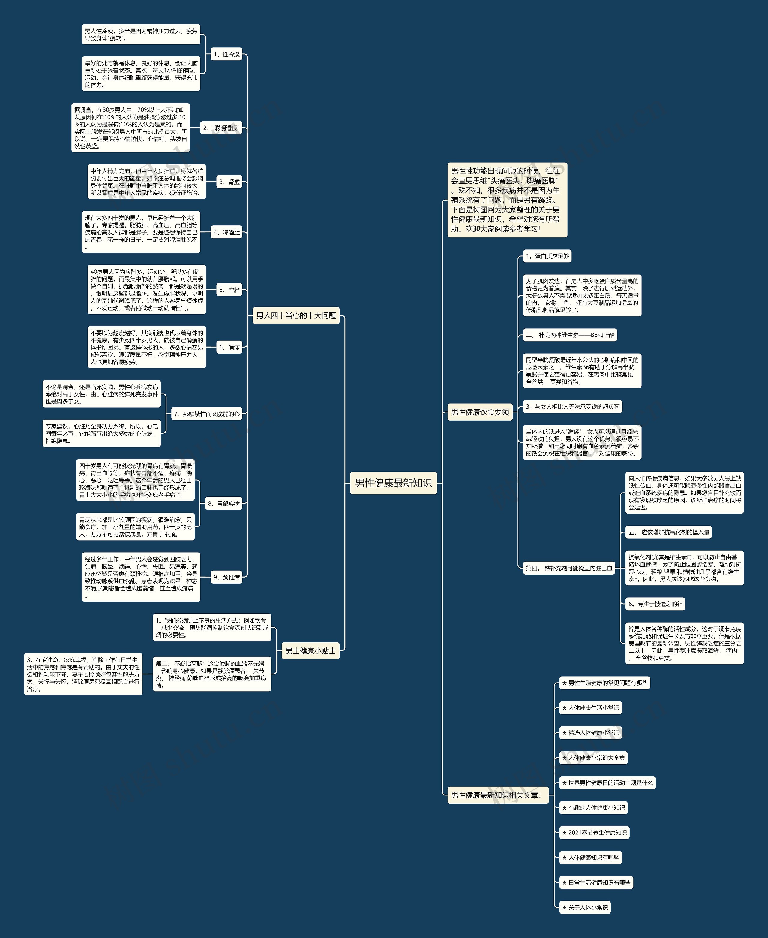 男性健康最新知识思维导图