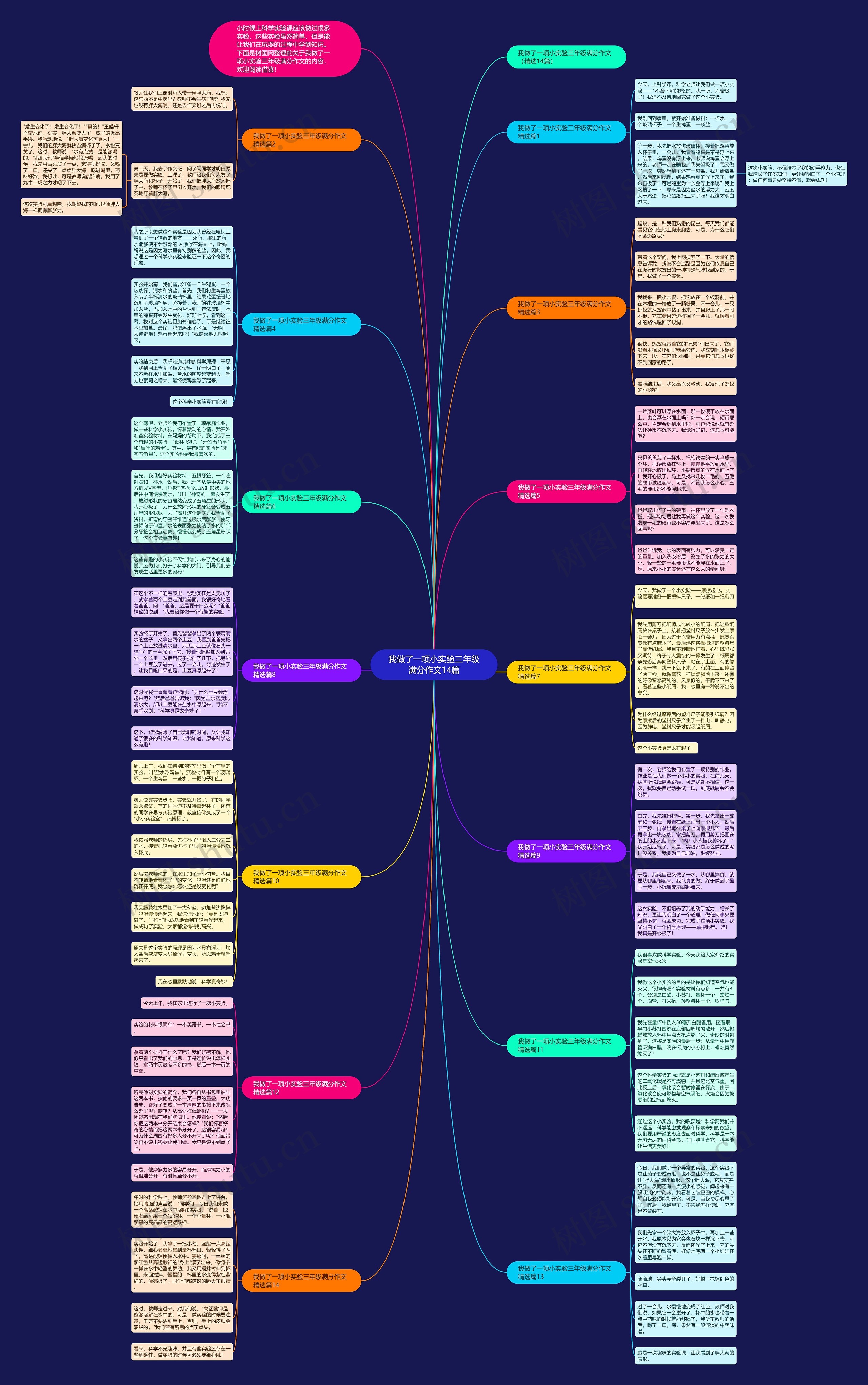 我做了一项小实验三年级满分作文14篇