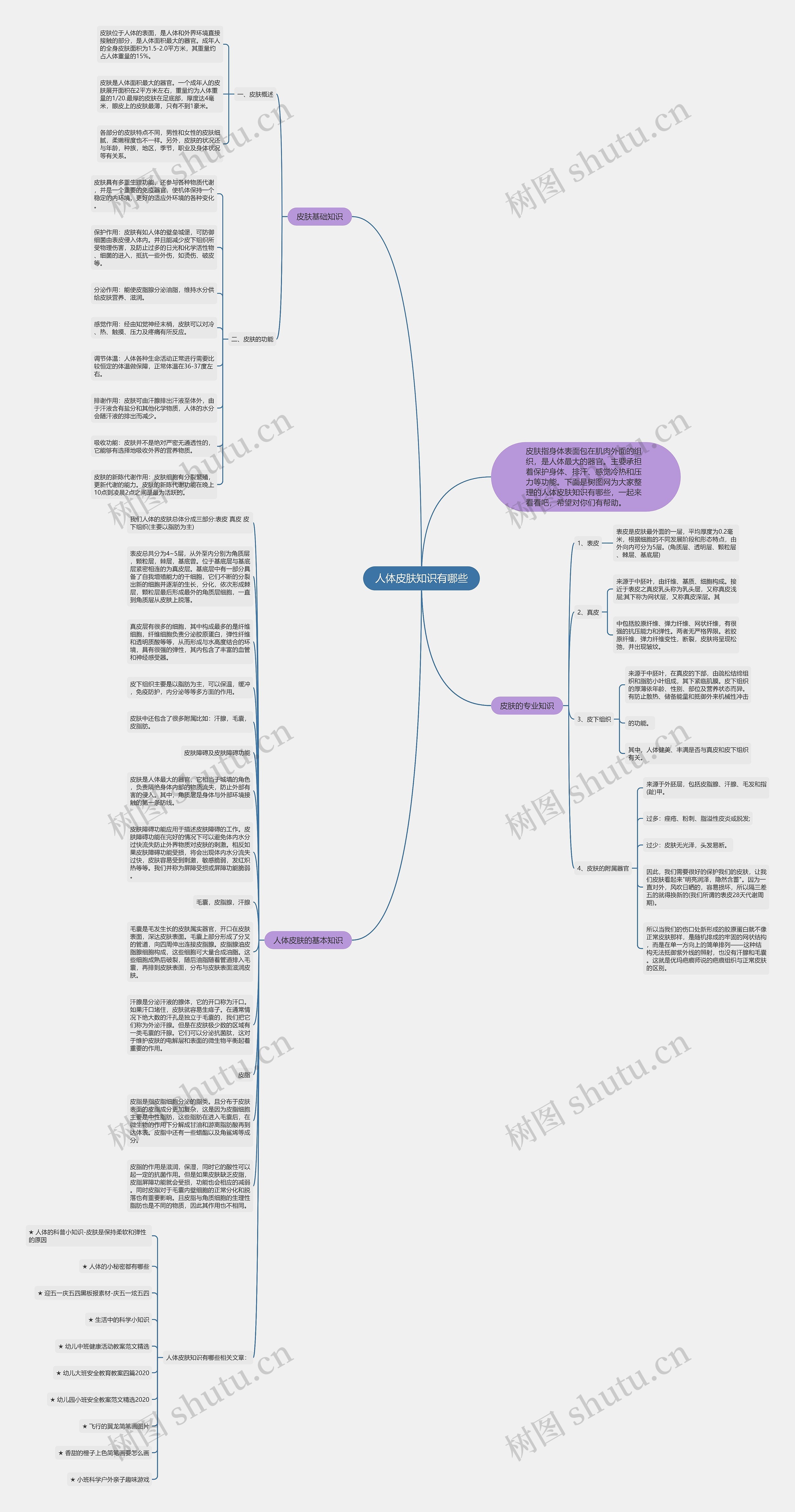 人体皮肤知识有哪些思维导图