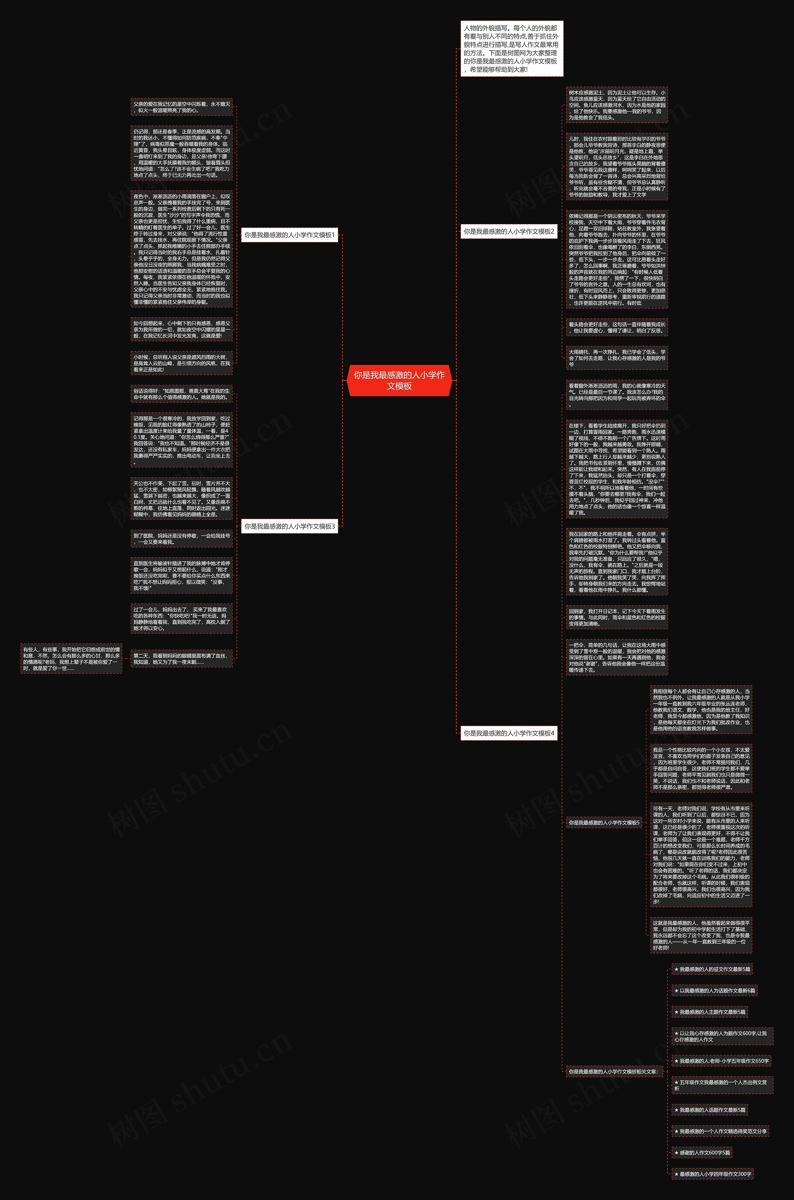你是我最感激的人小学作文思维导图