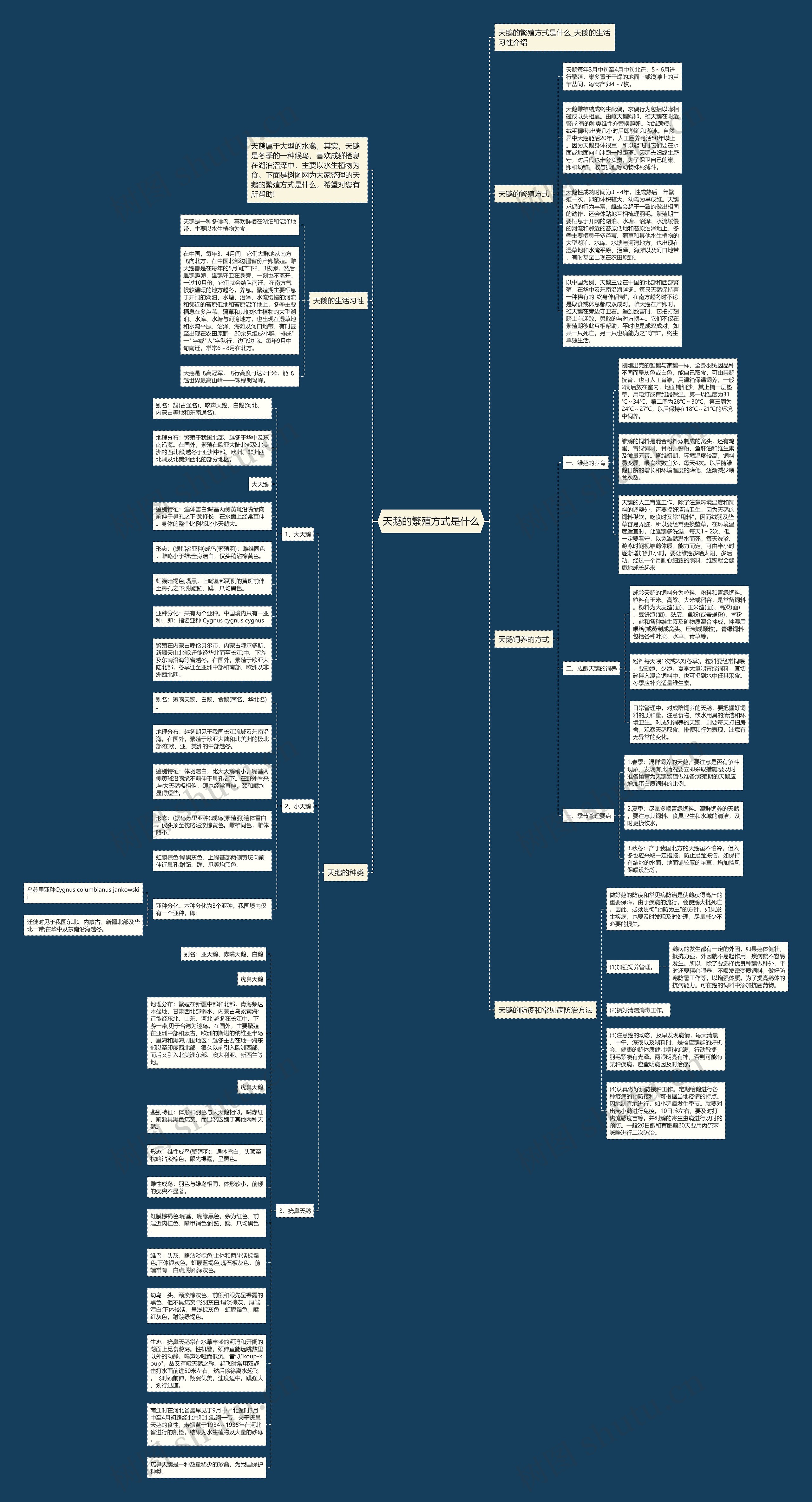 天鹅的繁殖方式是什么思维导图