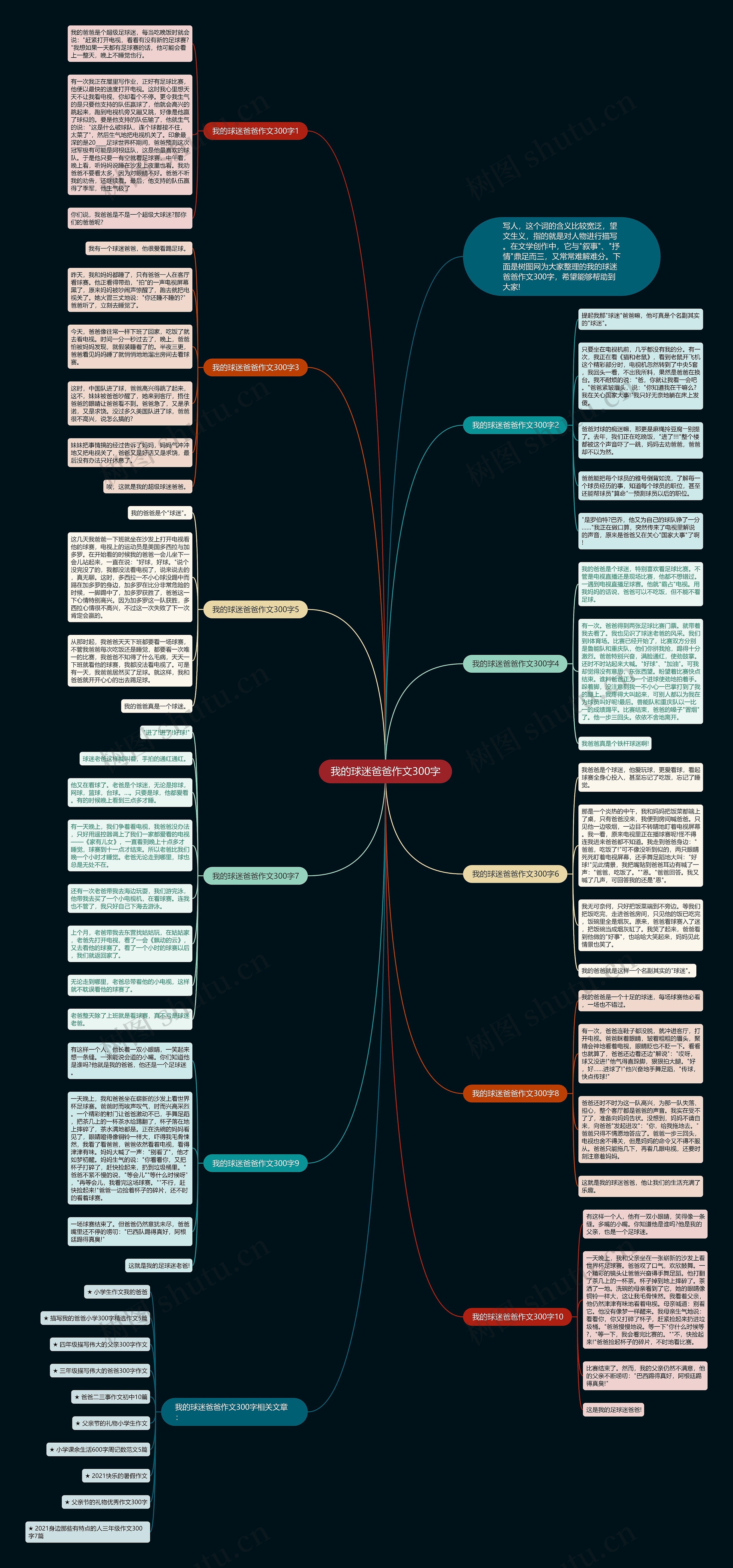 我的球迷爸爸作文300字思维导图