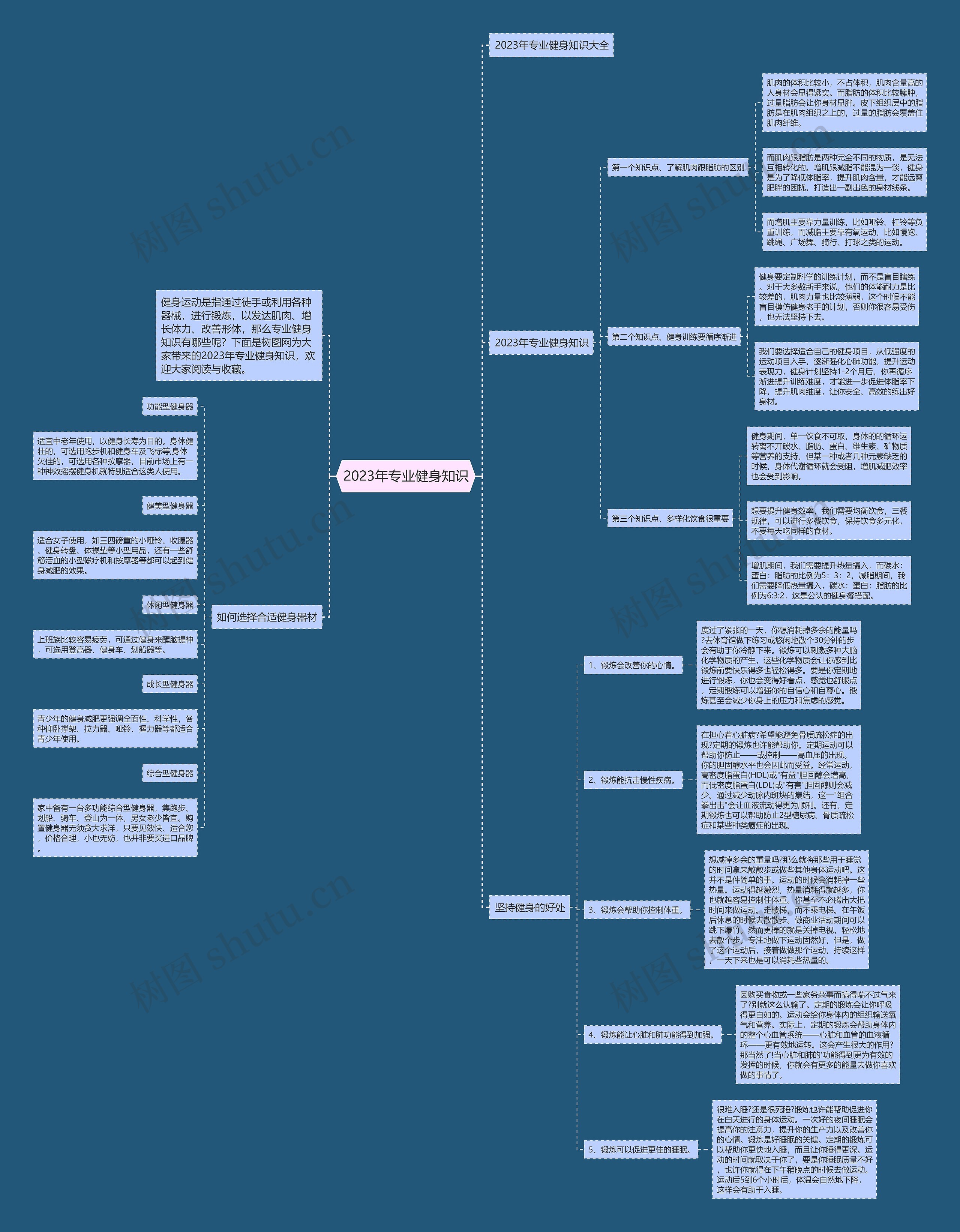2023年专业健身知识思维导图
